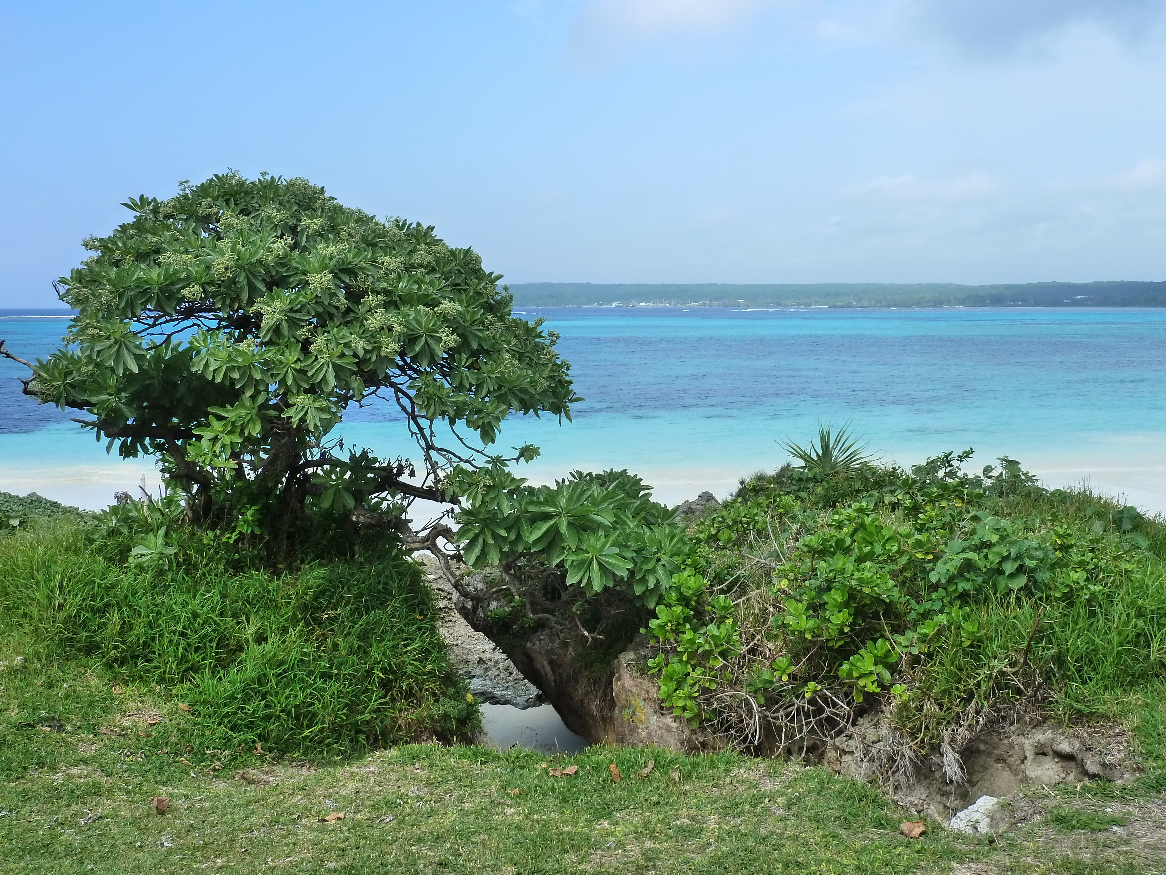 Picture New Caledonia Lifou Luecila 2010-05 50 - Discovery Luecila