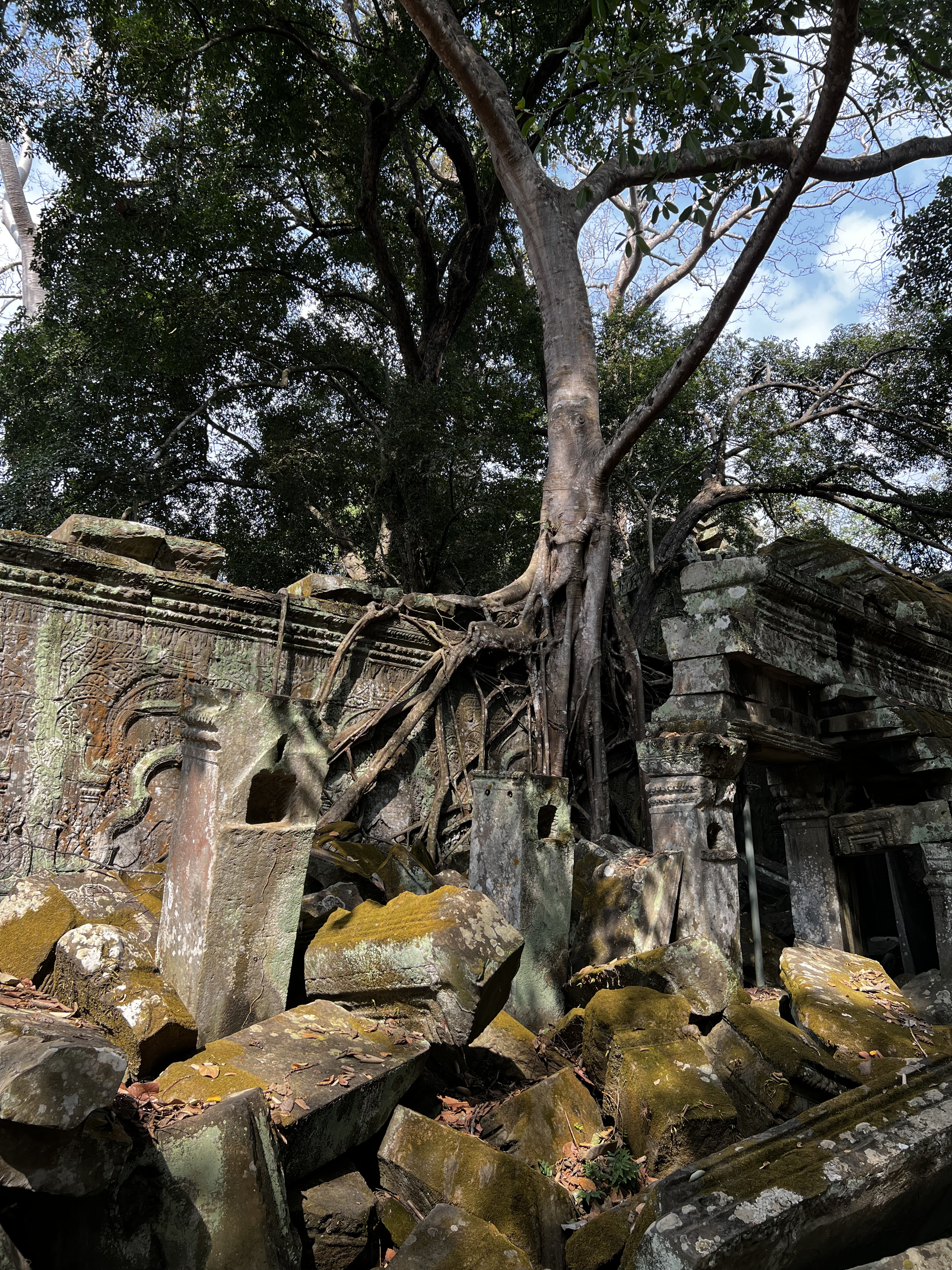 Picture Cambodia Siem Reap Ta Prohm 2023-01 132 - Recreation Ta Prohm