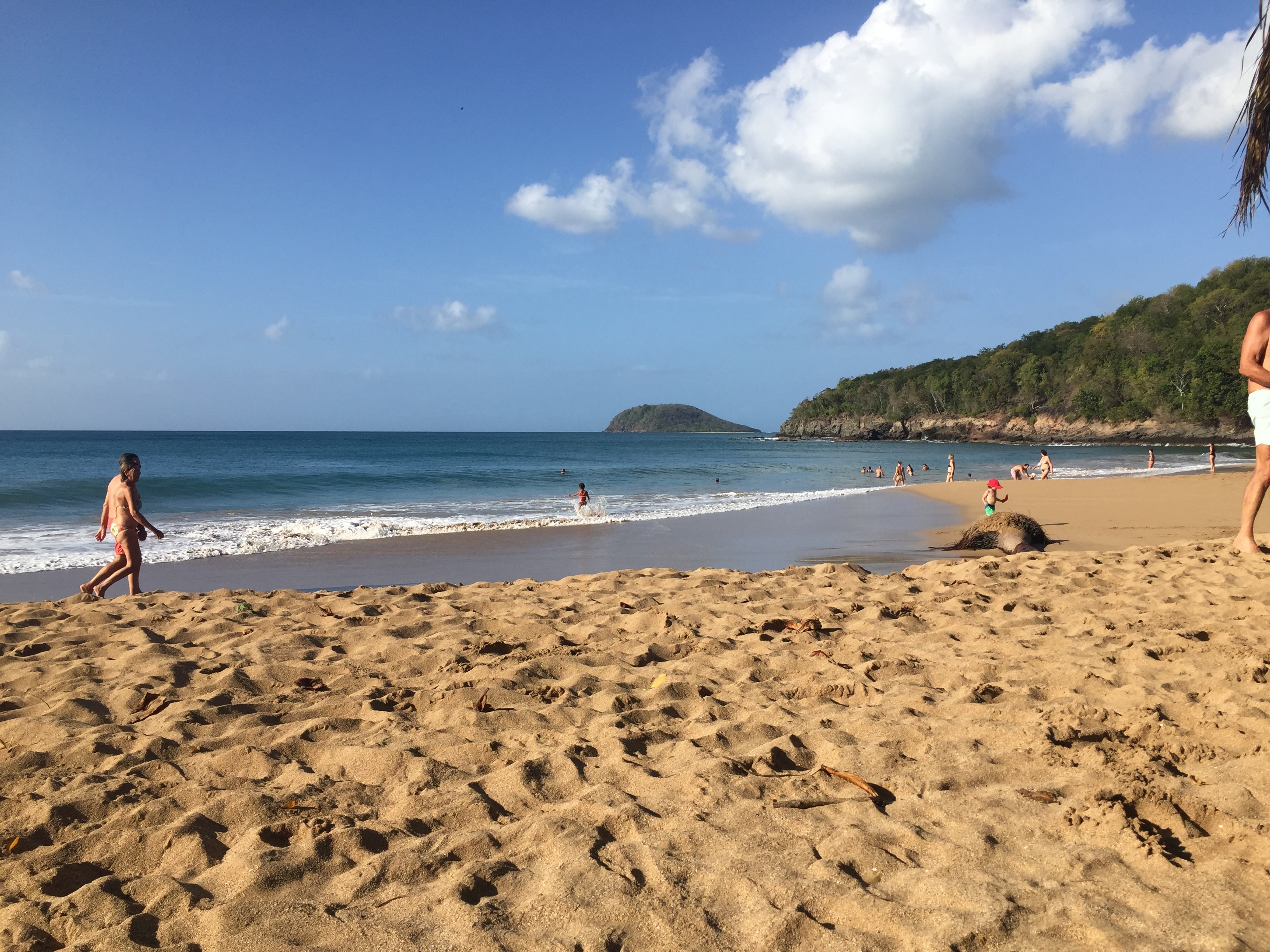 Picture Guadeloupe La Perle Beach 2021-02 12 - Tours La Perle Beach