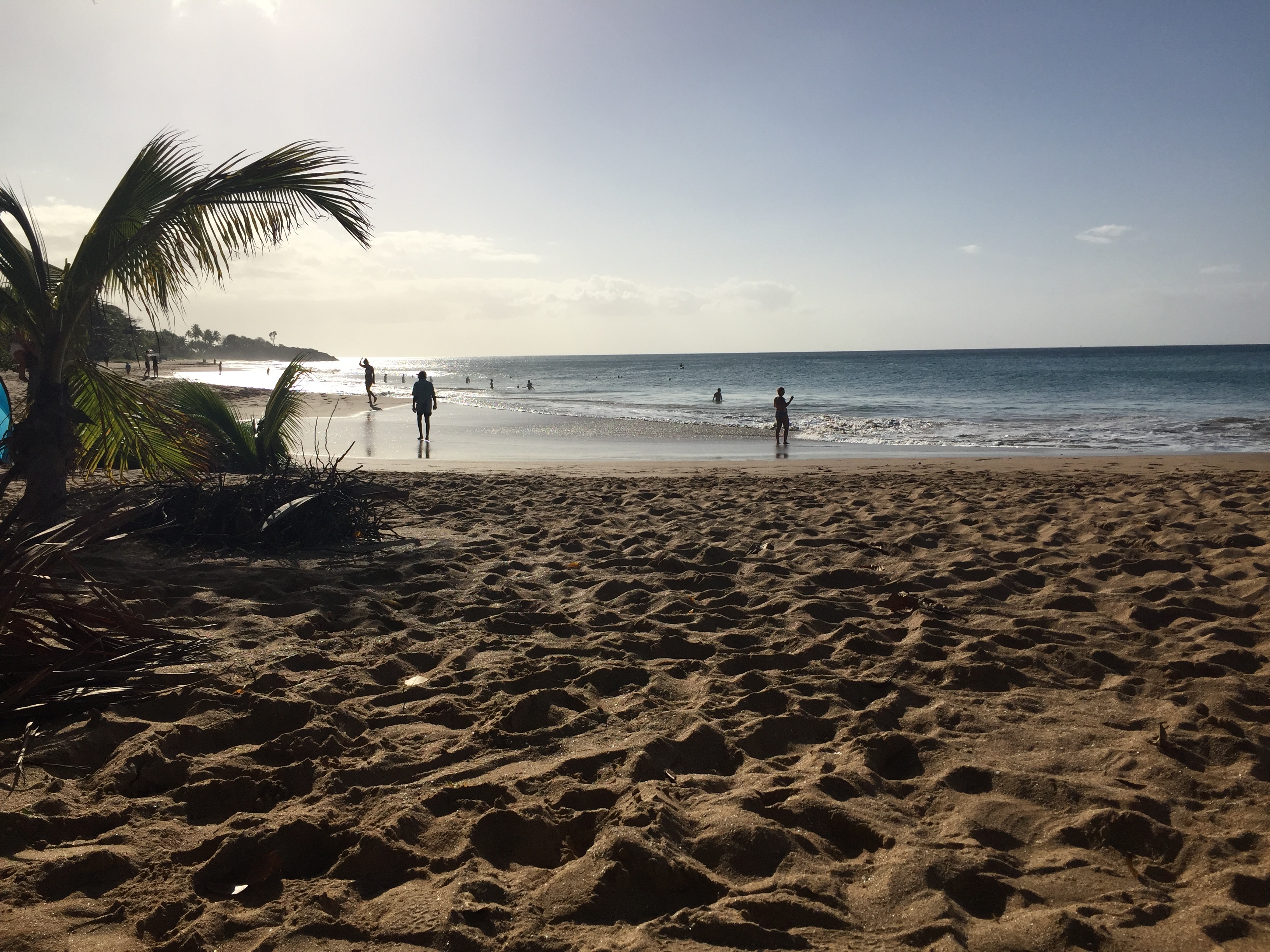 Picture Guadeloupe La Perle Beach 2021-02 1 - Center La Perle Beach