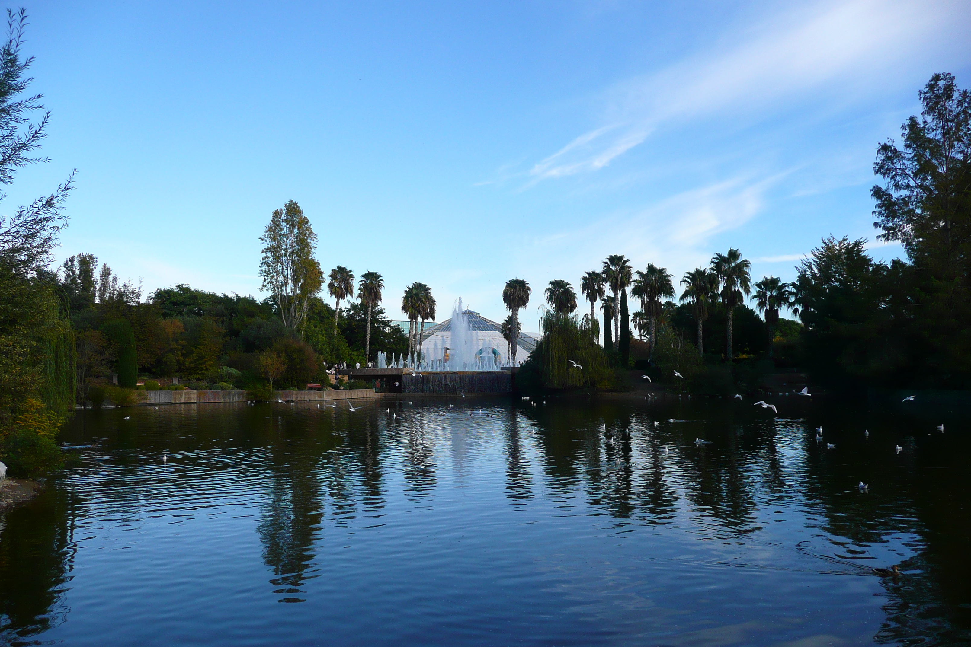 Picture France Nice Phoenix Parc 2007-10 37 - History Phoenix Parc