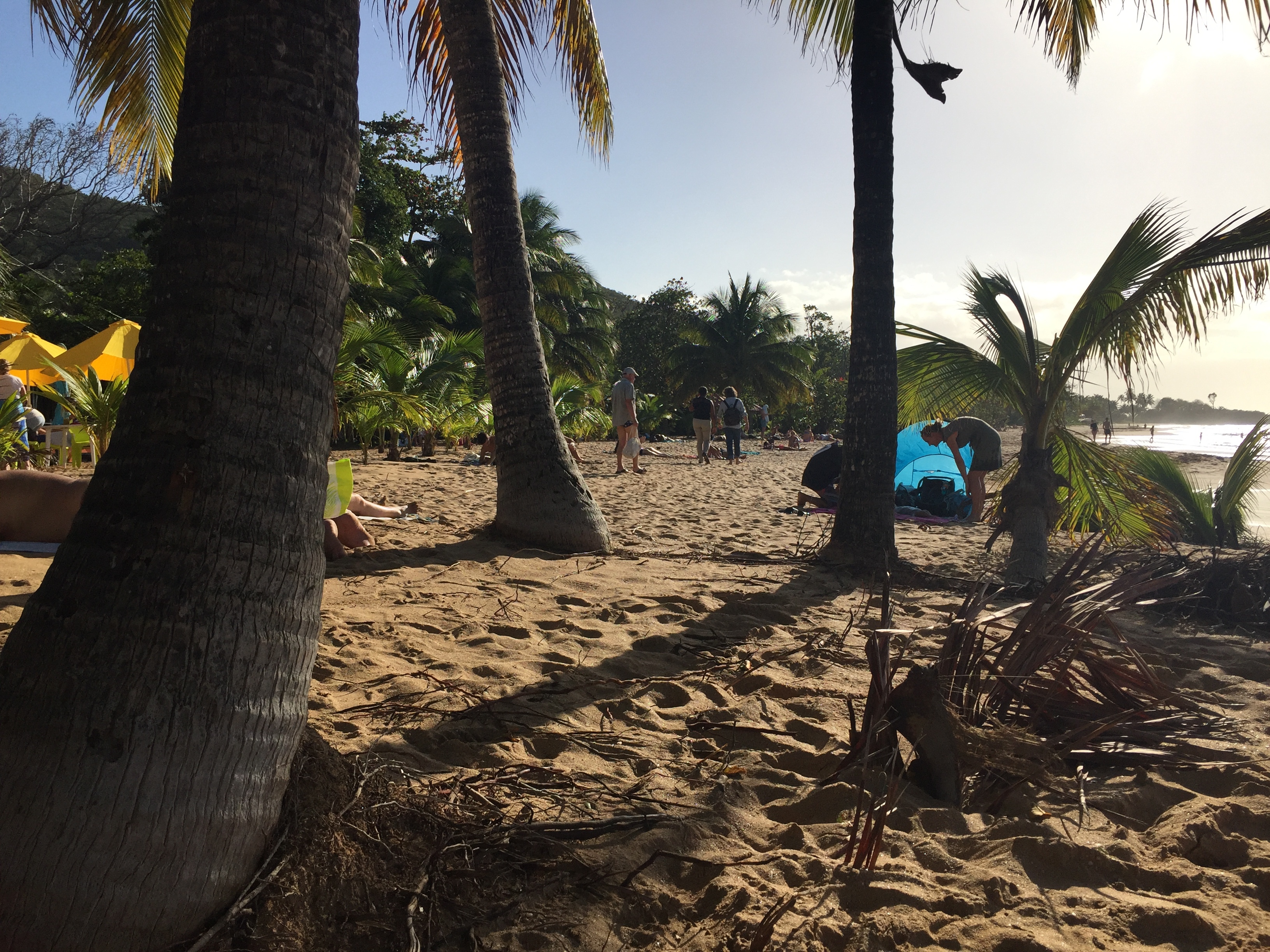 Picture Guadeloupe La Perle Beach 2021-02 122 - Around La Perle Beach