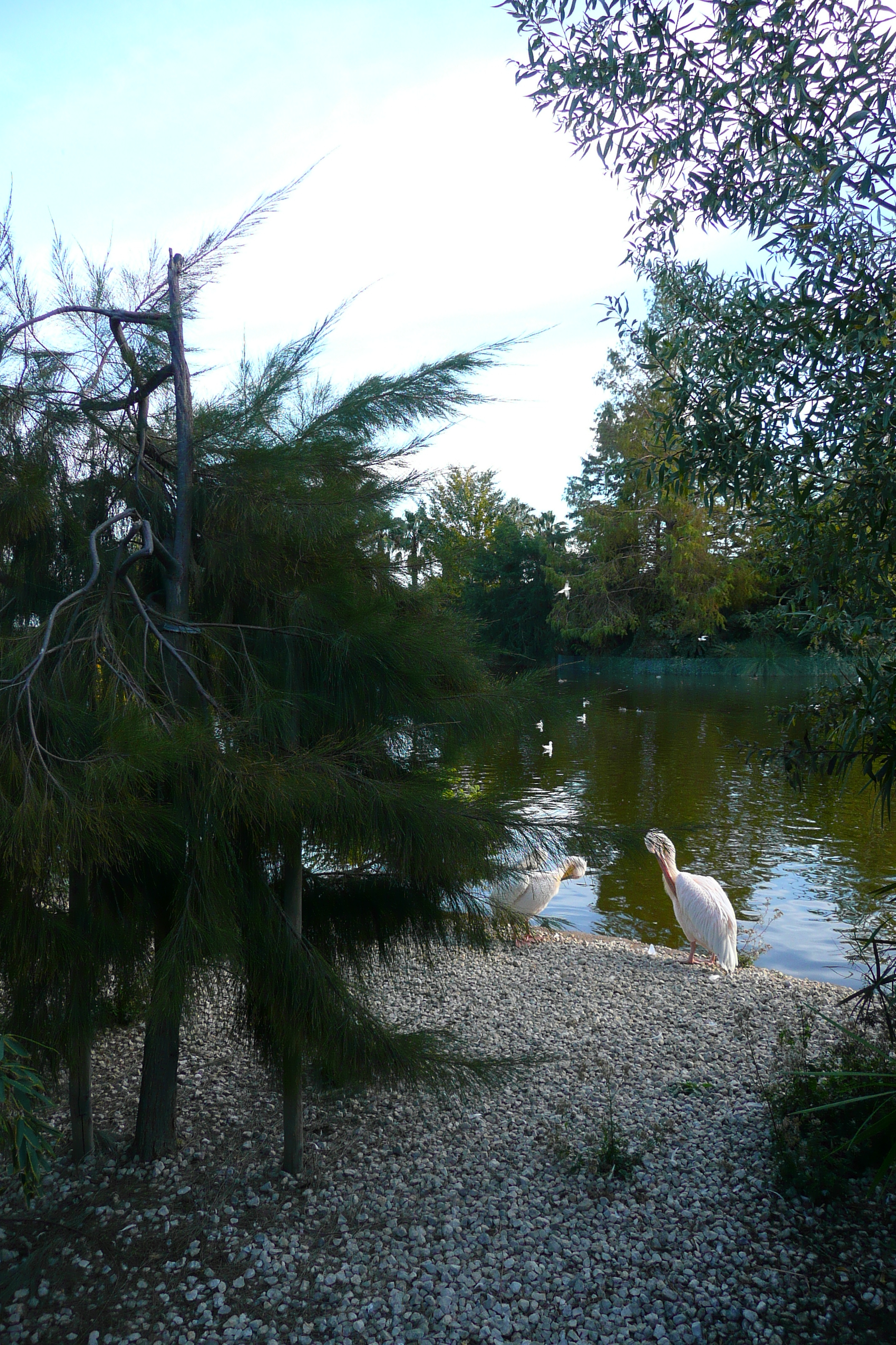 Picture France Nice Phoenix Parc 2007-10 58 - Center Phoenix Parc