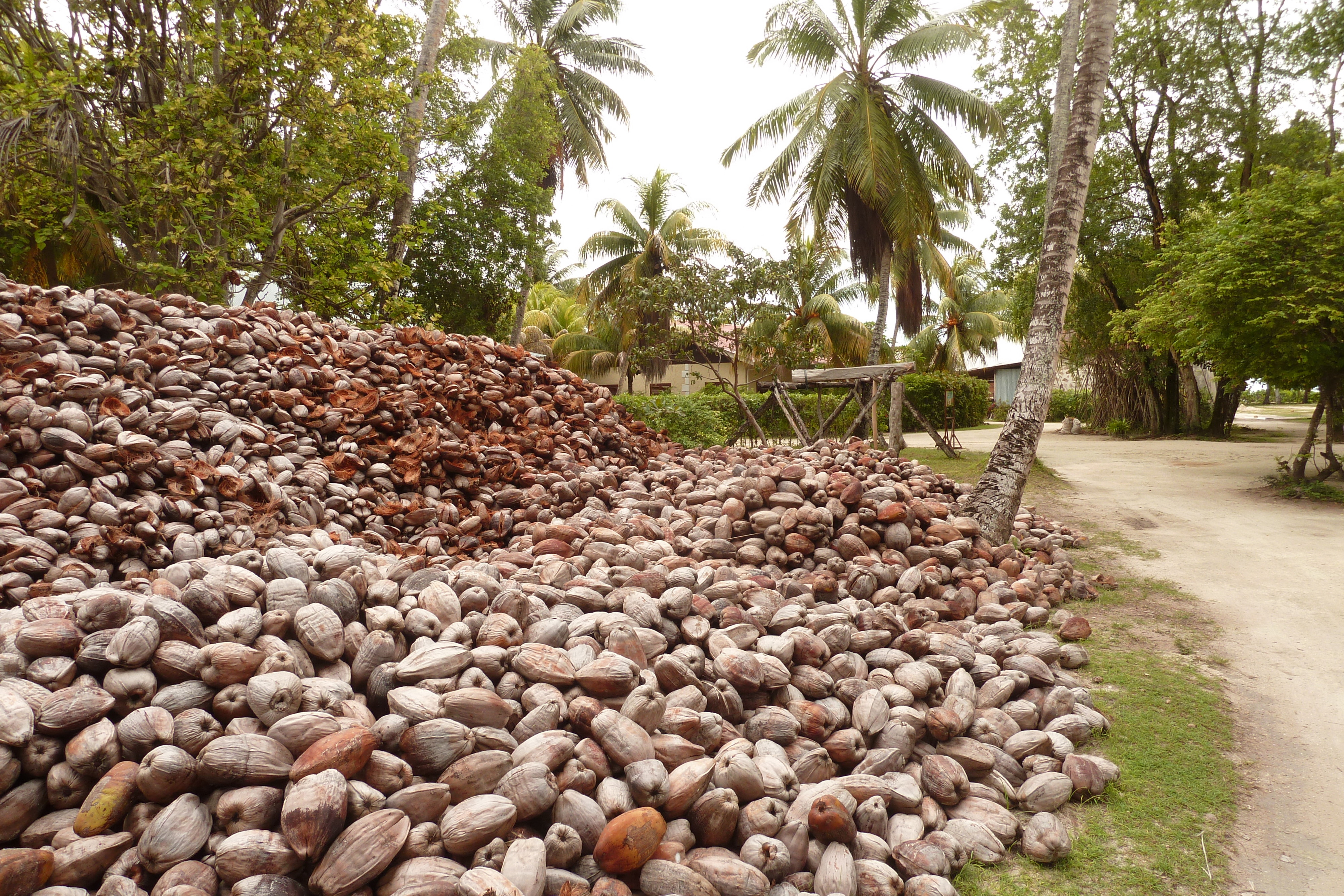 Picture Seychelles La Digue 2011-10 182 - Tour La Digue