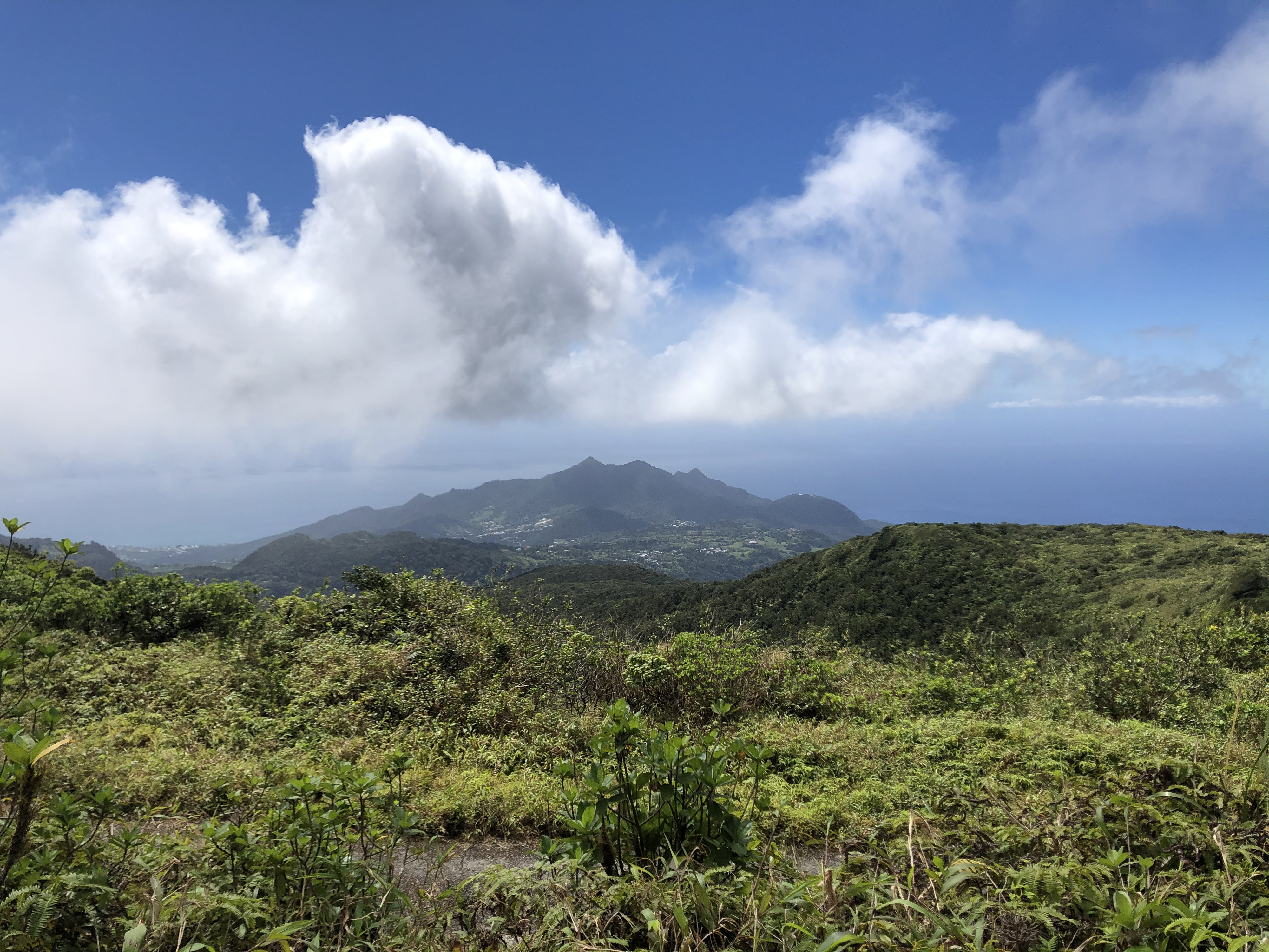 Picture Guadeloupe La Grande Soufriere 2021-02 30 - Discovery La Grande Soufriere