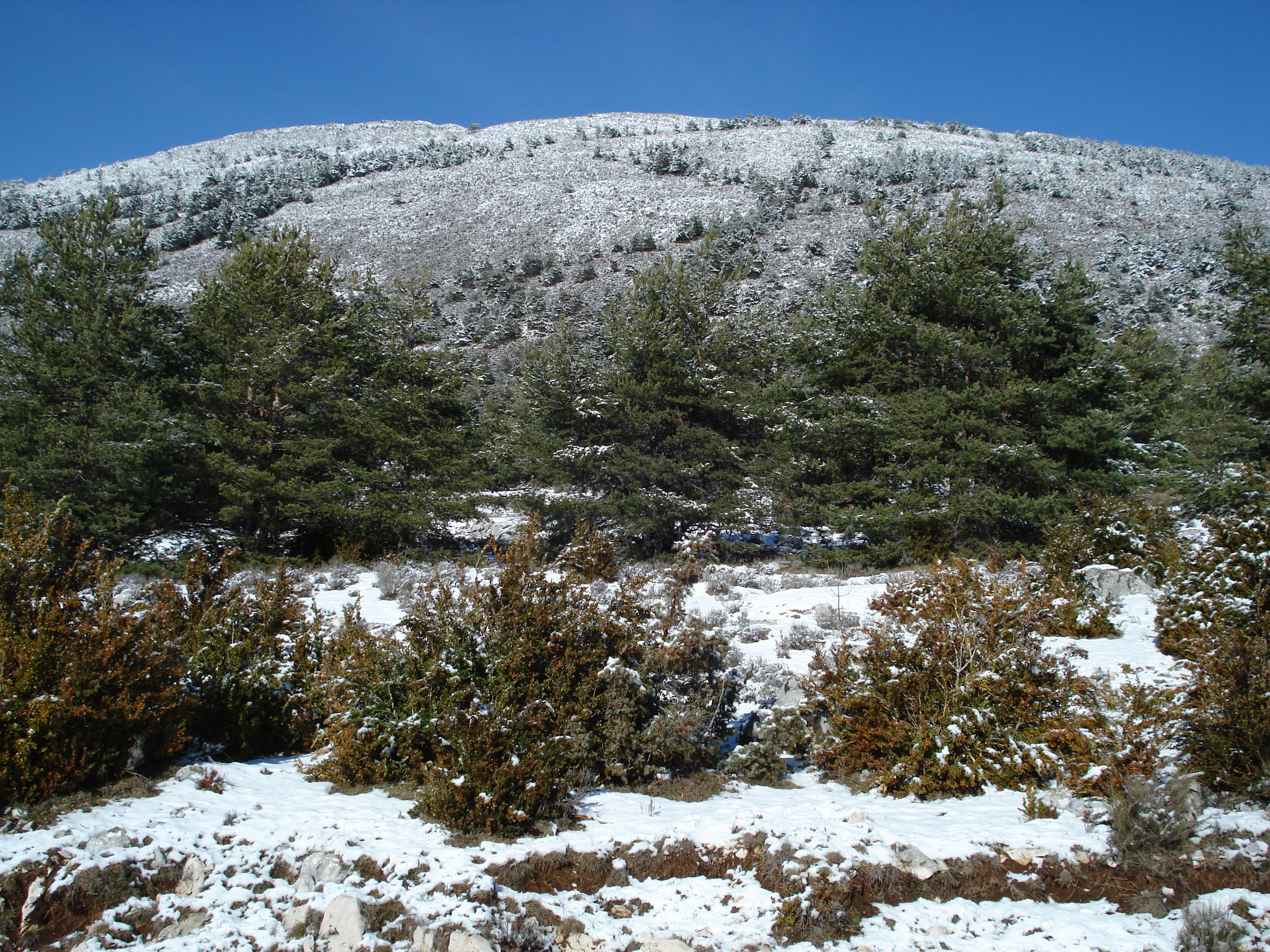 Picture France Coursegoule to Greolieres les neiges road 2007-01 93 - Discovery Coursegoule to Greolieres les neiges road