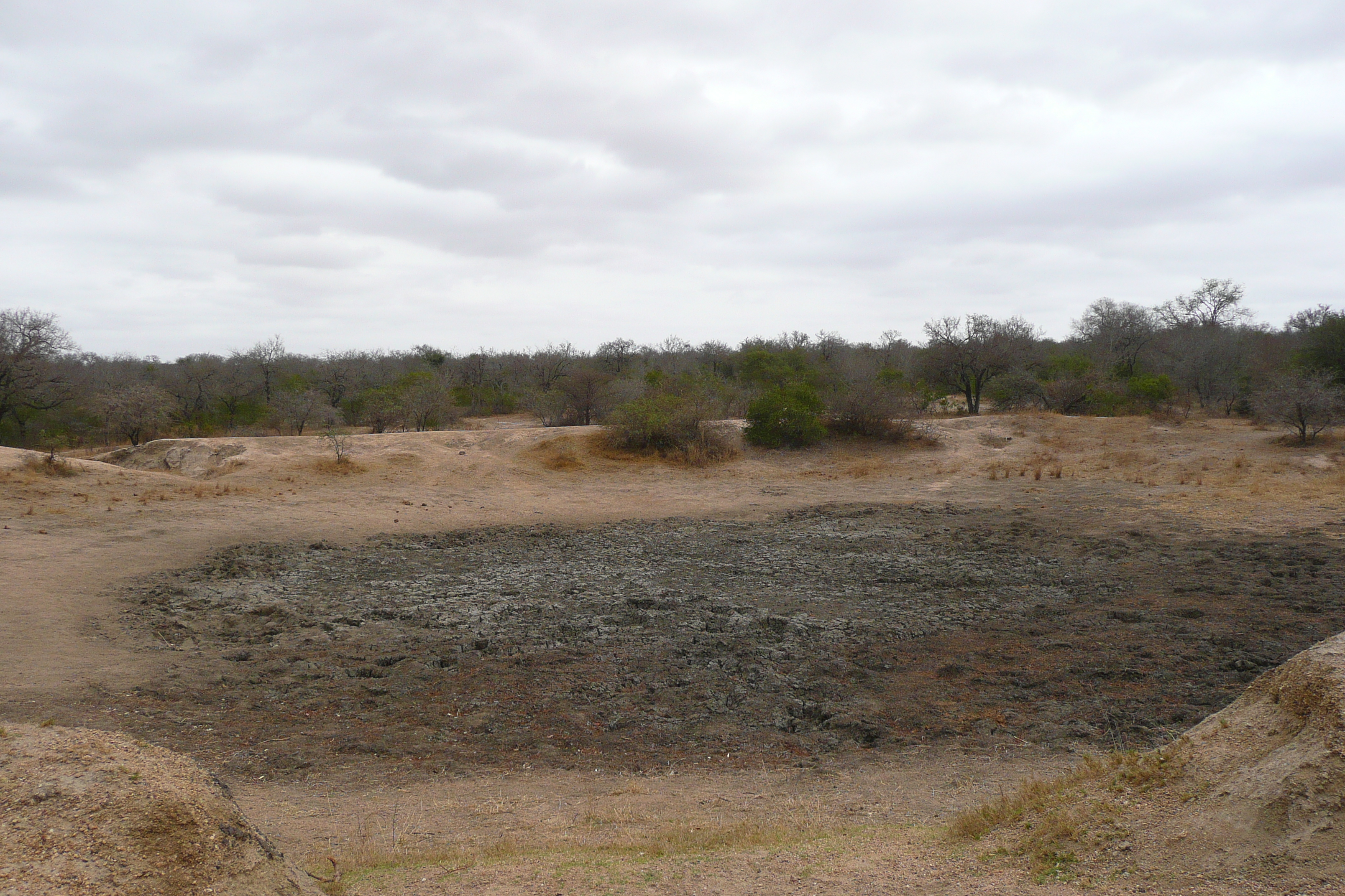 Picture South Africa Kruger National Park 2008-09 63 - Journey Kruger National Park