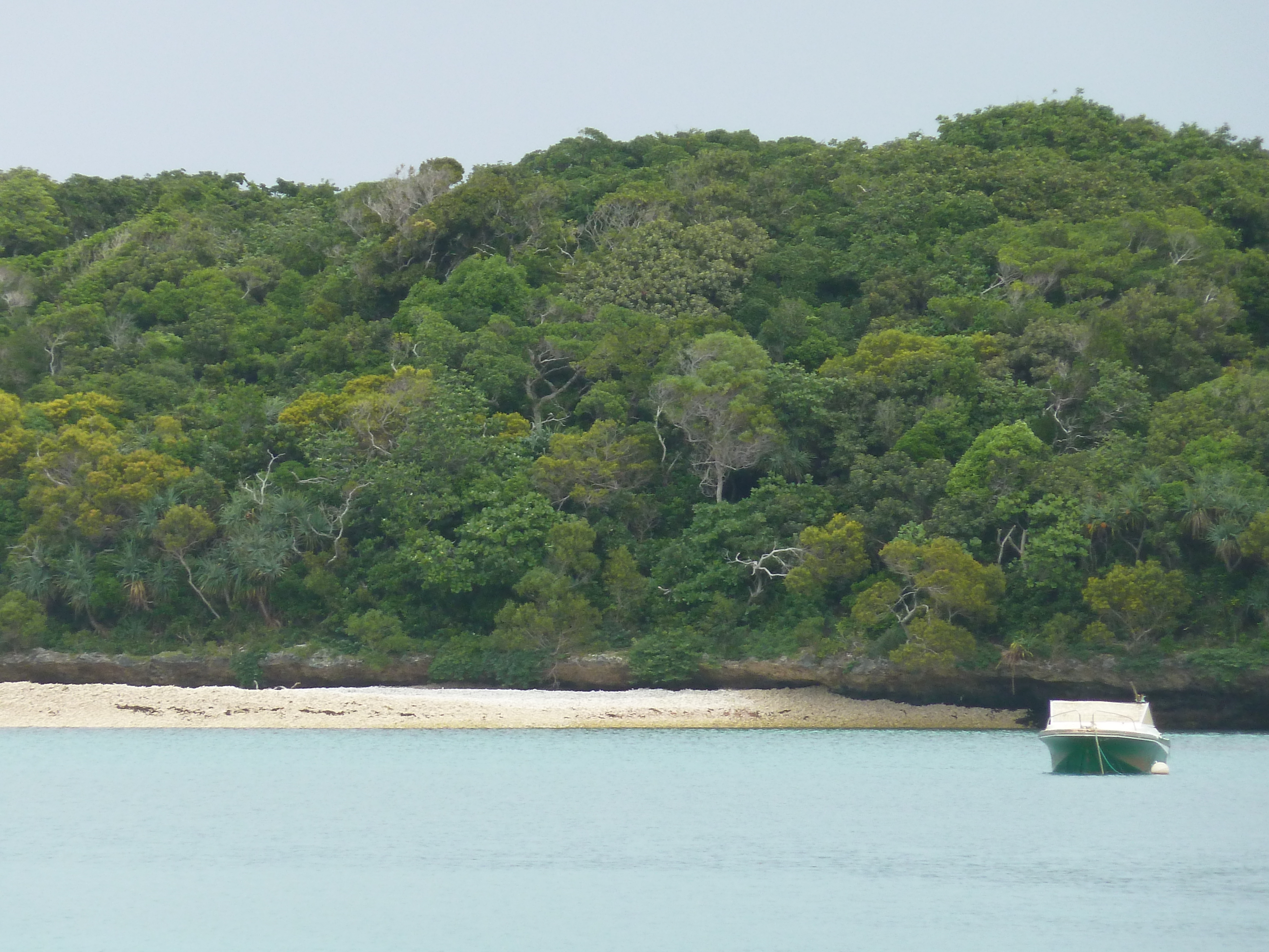 Picture New Caledonia Ile des pins Kuto Beach 2010-05 41 - Center Kuto Beach