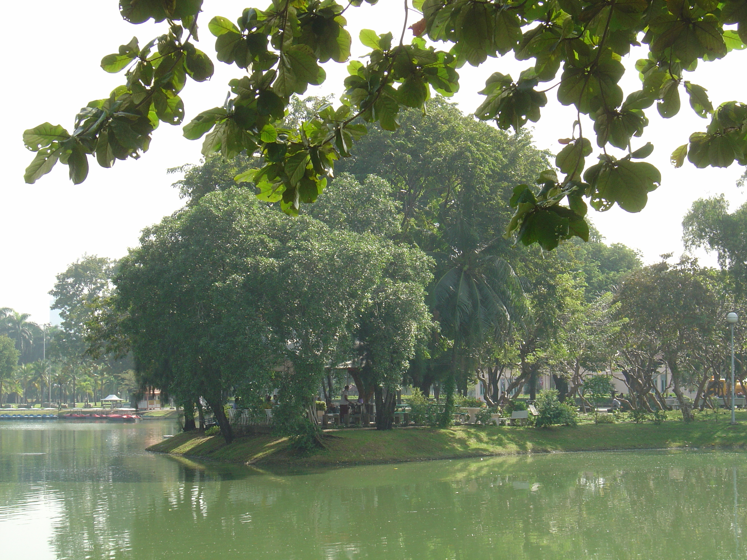 Picture Thailand Bangkok Lumpini Park 2005-12 23 - Around Lumpini Park