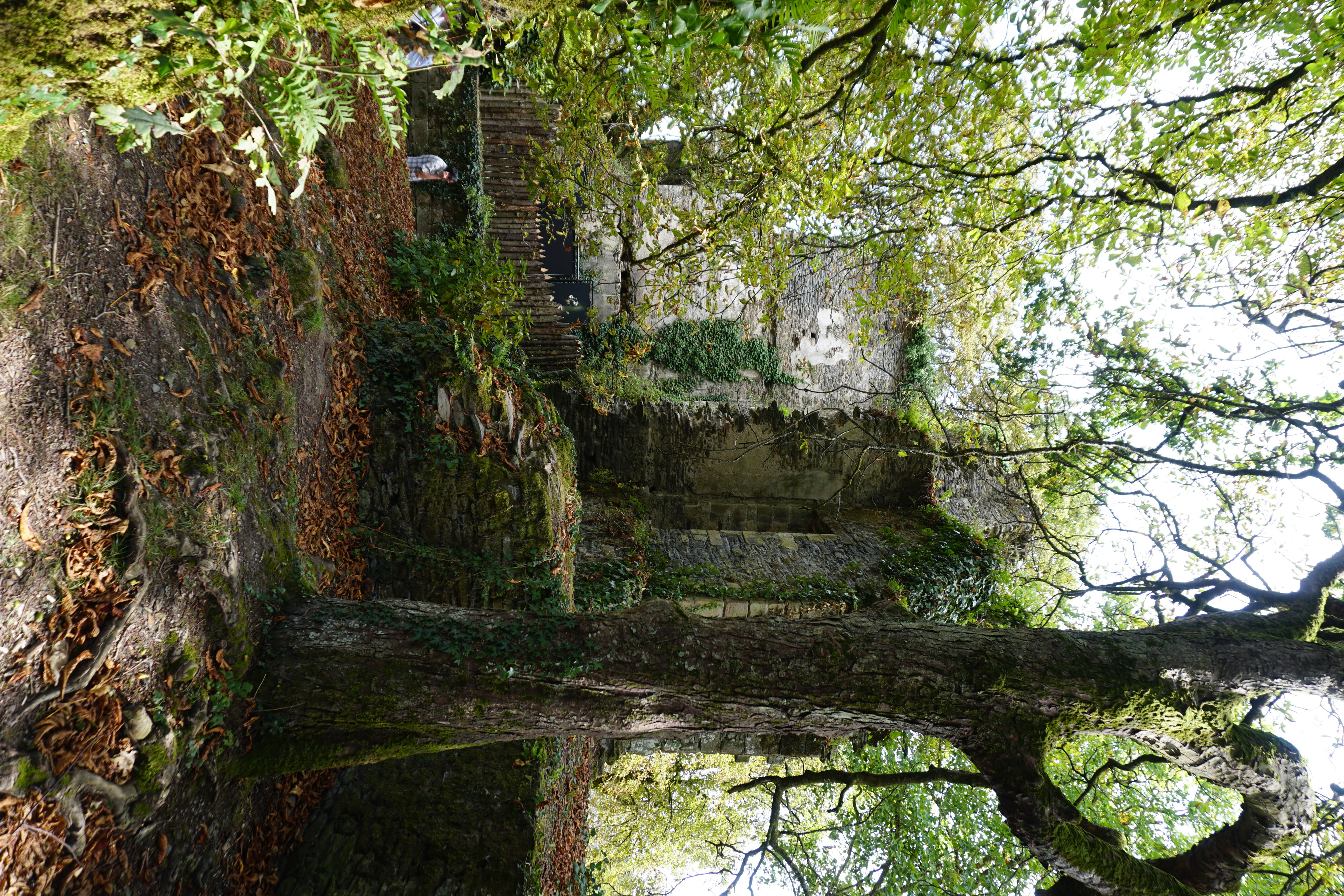 Picture France Rochefort-en-Terre 2017-08 13 - Discovery Rochefort-en-Terre