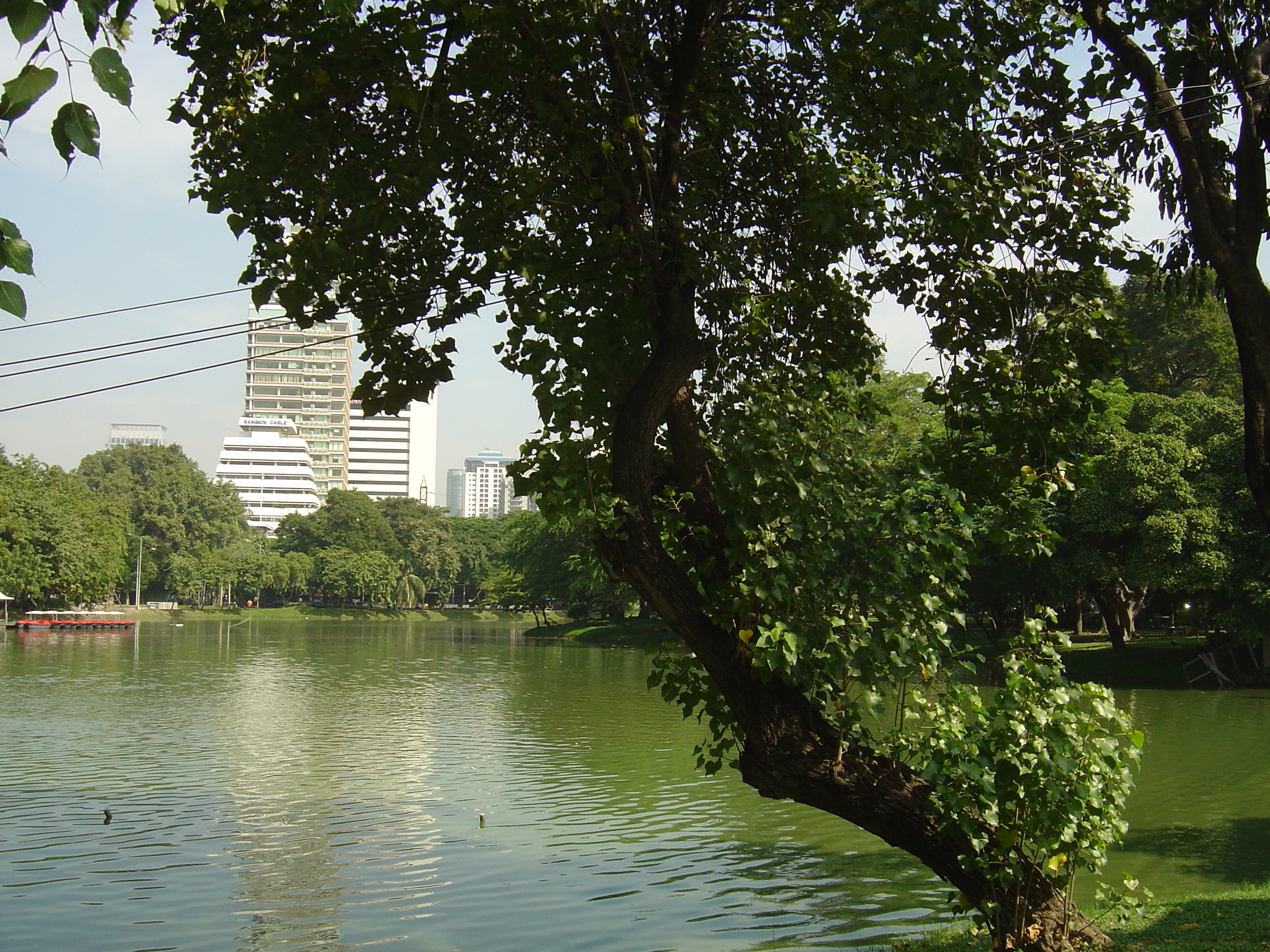 Picture Thailand Bangkok Lumpini Park 2005-12 13 - Center Lumpini Park