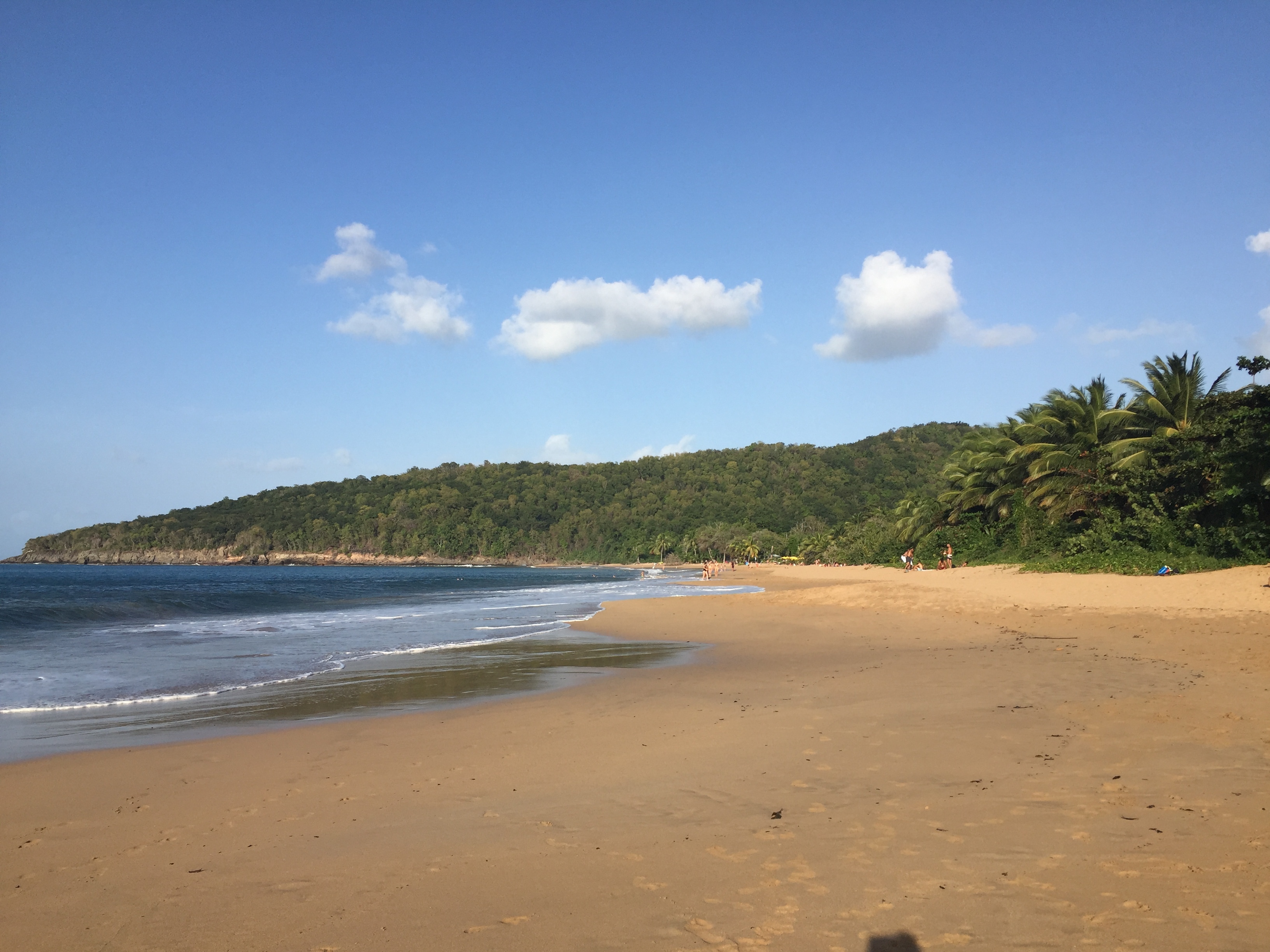 Picture Guadeloupe La Perle Beach 2021-02 22 - Around La Perle Beach