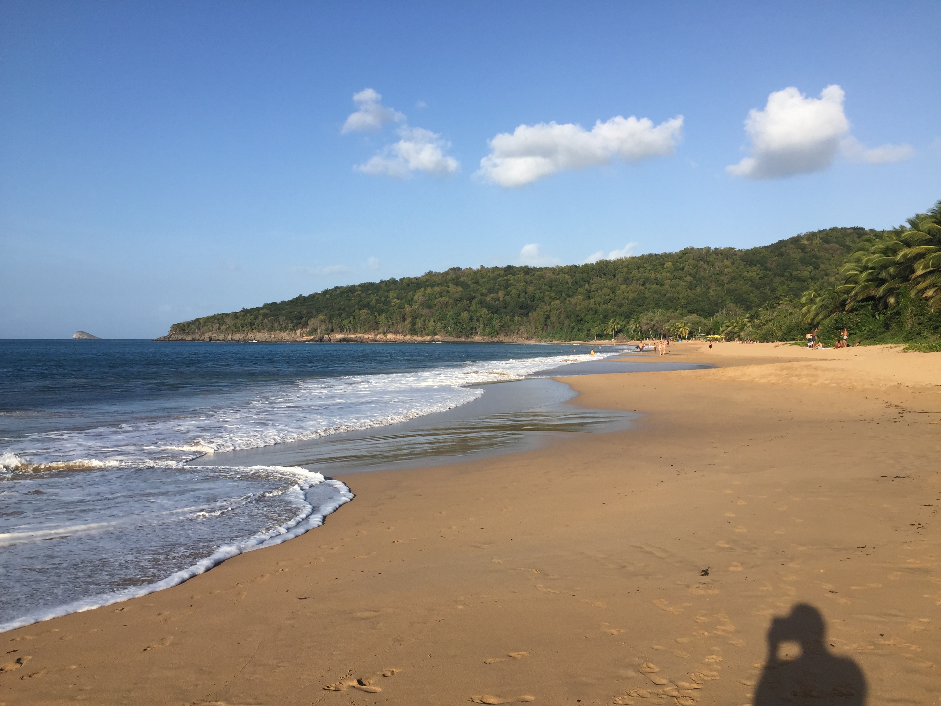 Picture Guadeloupe La Perle Beach 2021-02 37 - Around La Perle Beach