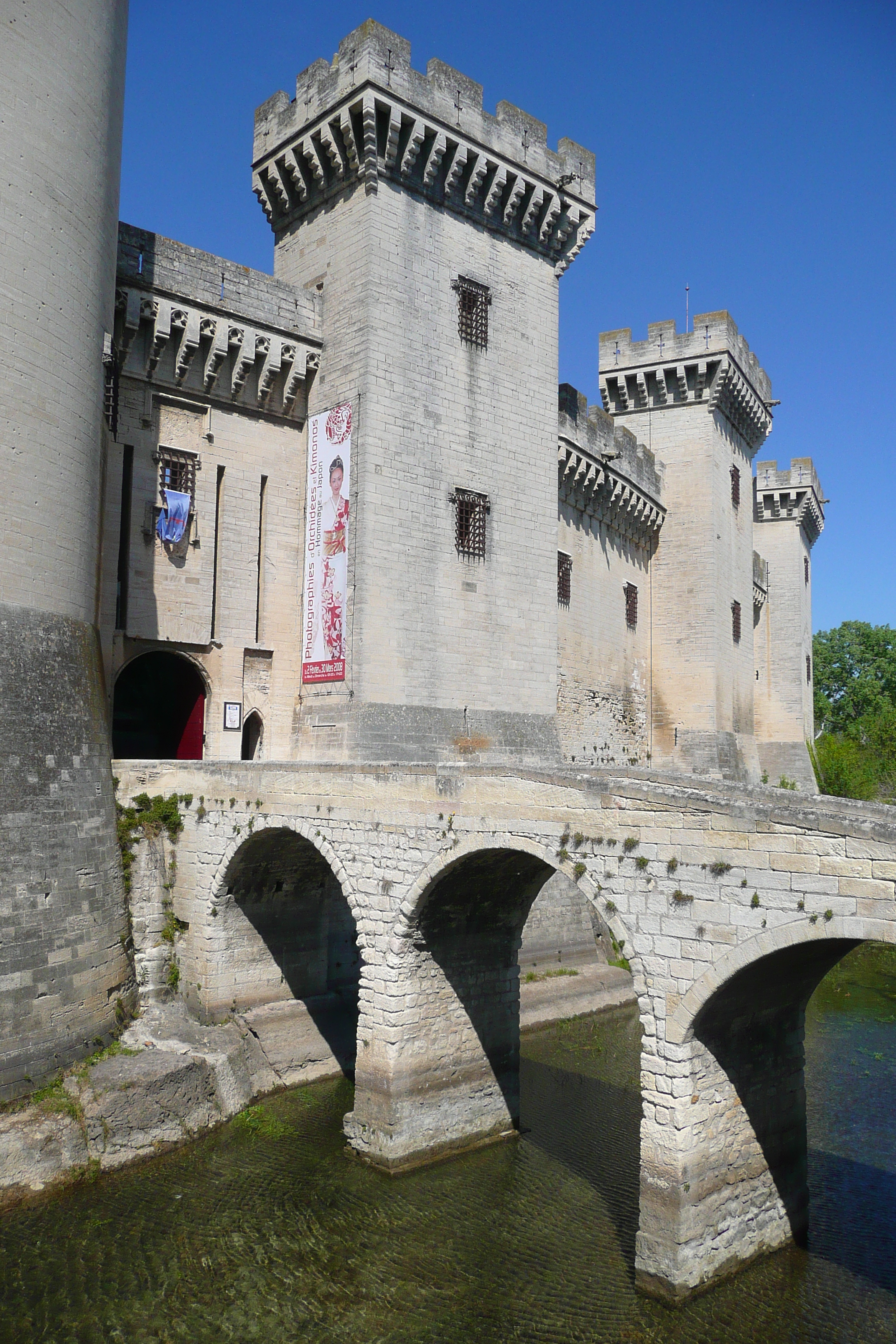 Picture France Tarascon Tarascon Castle 2008-04 7 - Tours Tarascon Castle