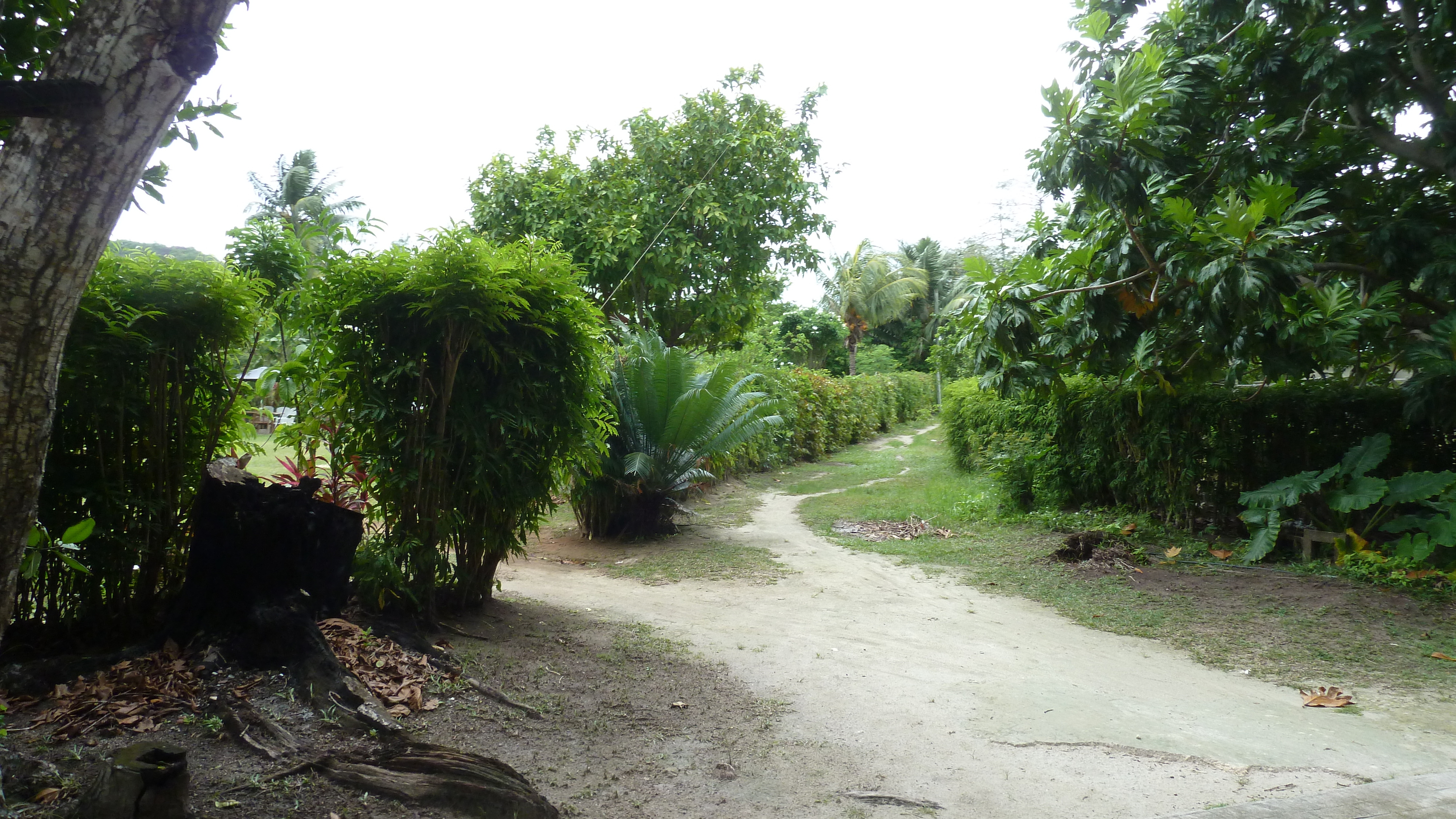 Picture Seychelles La Digue 2011-10 16 - Journey La Digue