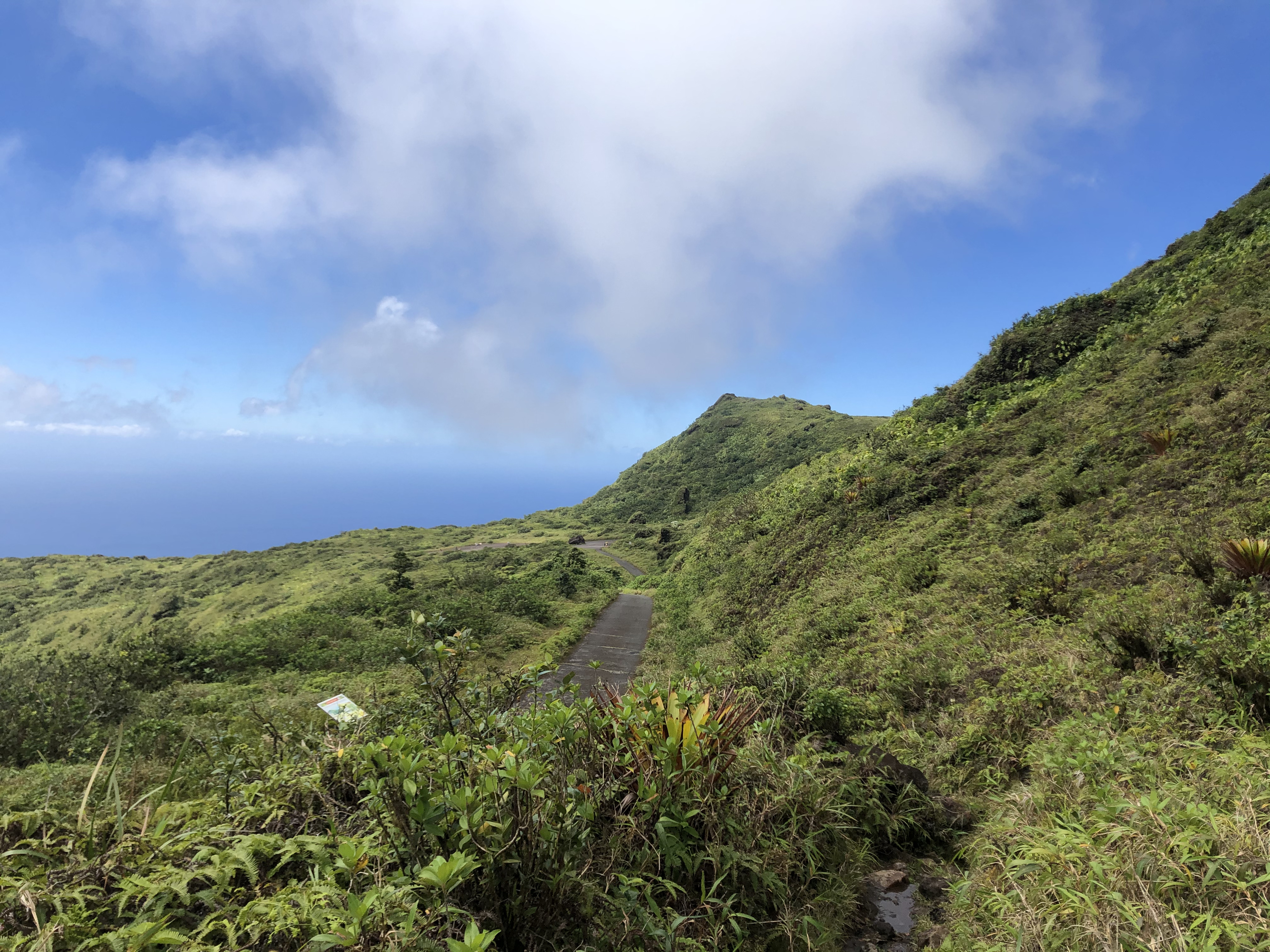 Picture Guadeloupe La Grande Soufriere 2021-02 20 - History La Grande Soufriere