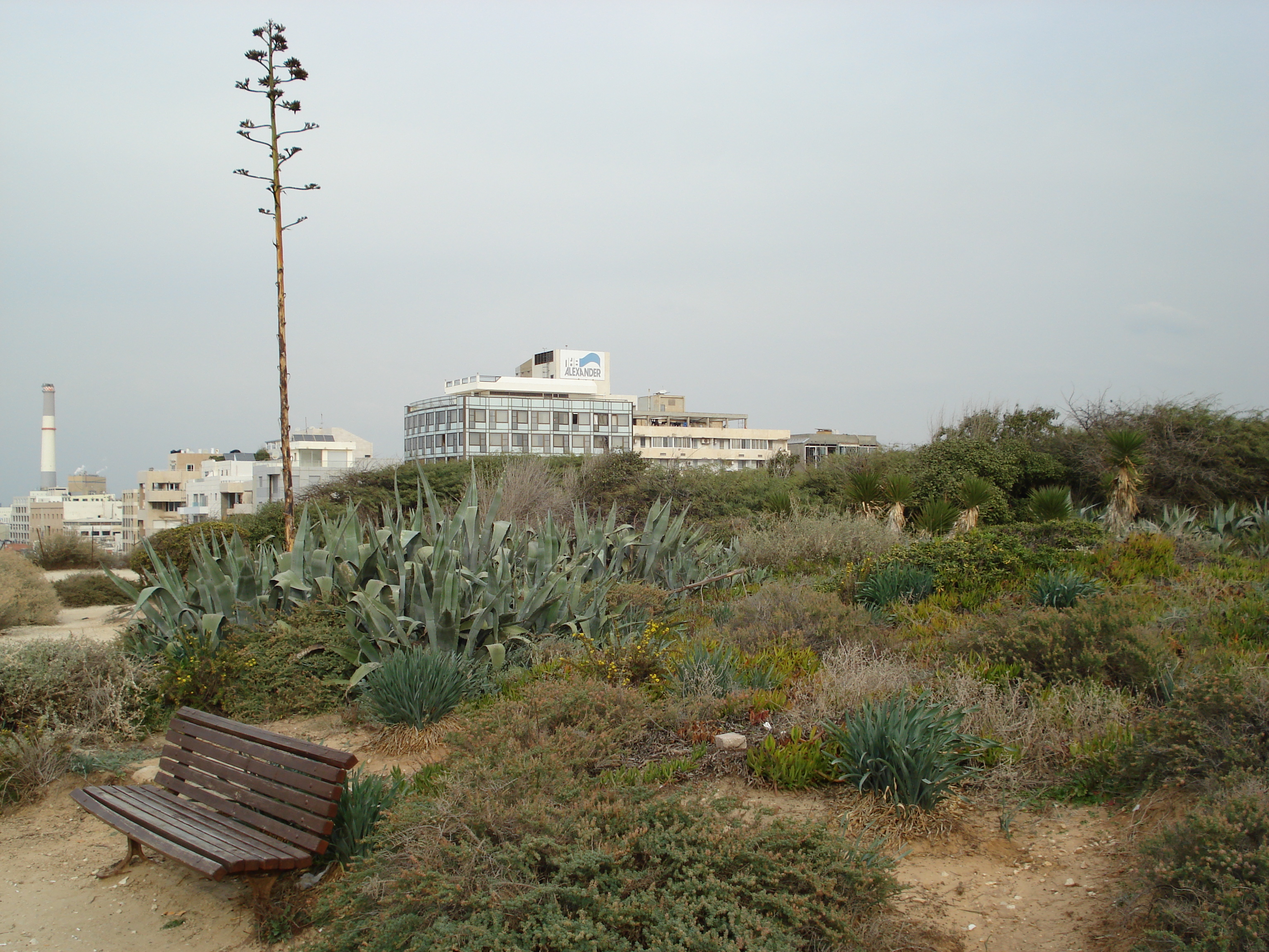 Picture Israel Tel Aviv Tel Aviv Sea Shore 2006-12 100 - Journey Tel Aviv Sea Shore