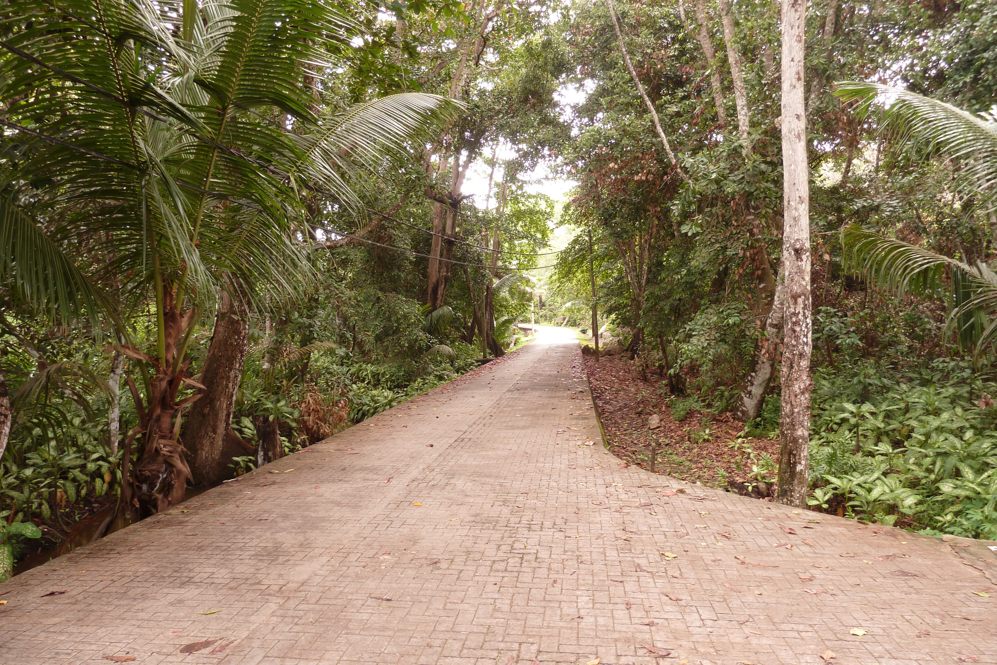 Picture Seychelles La Digue 2011-10 202 - History La Digue