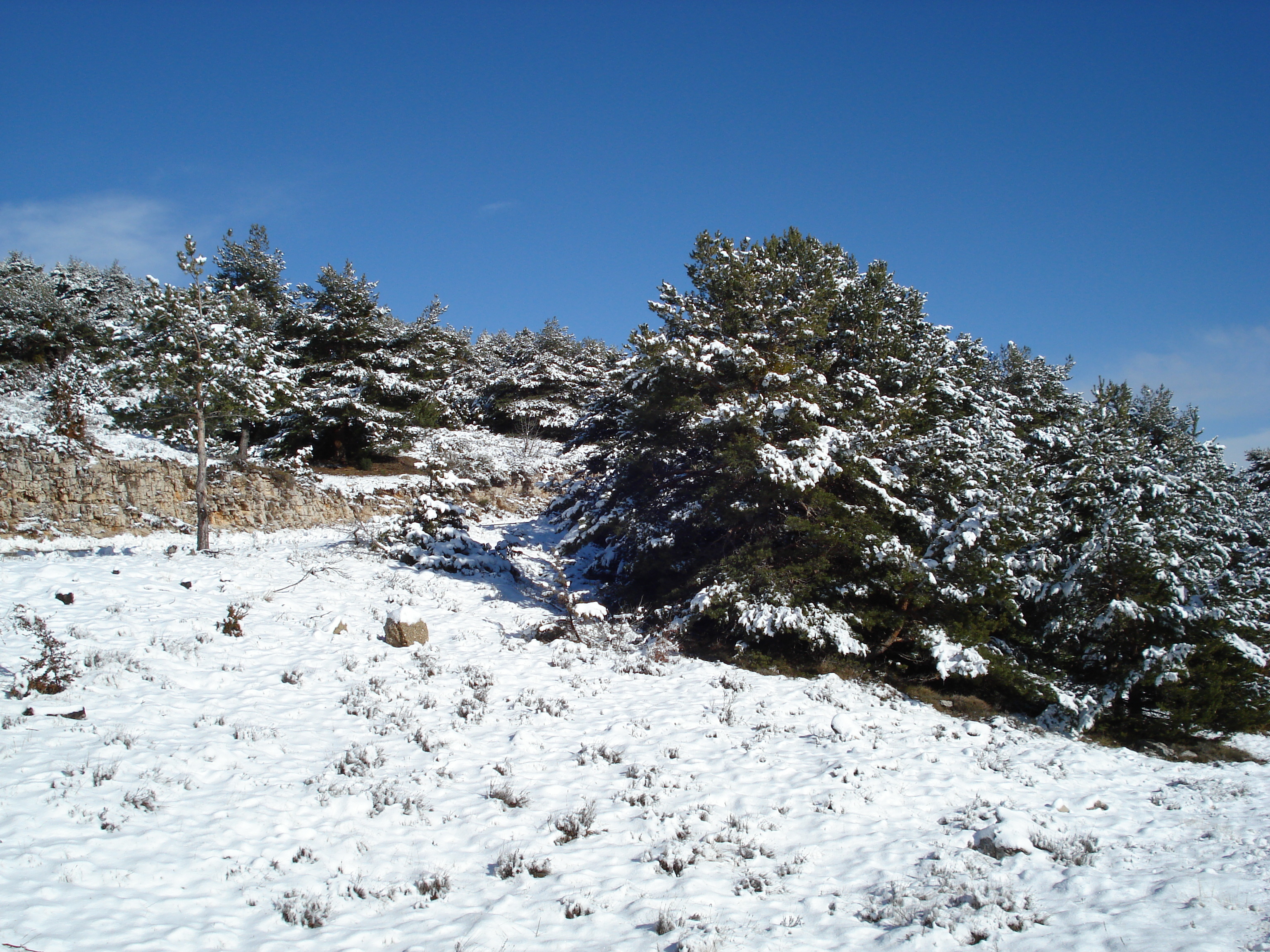 Picture France Coursegoule to Greolieres les neiges road 2007-01 69 - Around Coursegoule to Greolieres les neiges road