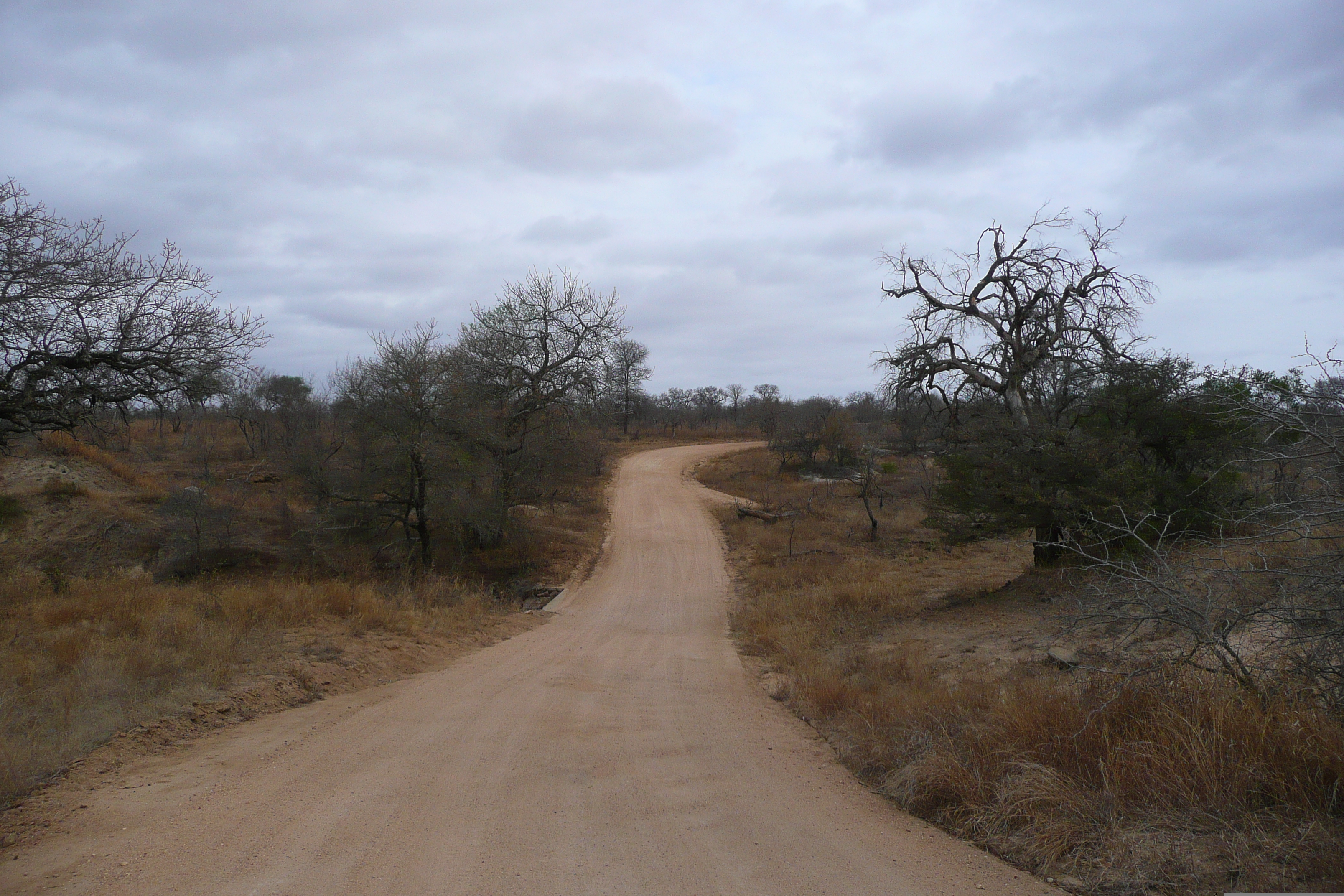 Picture South Africa Kruger National Park 2008-09 121 - Recreation Kruger National Park