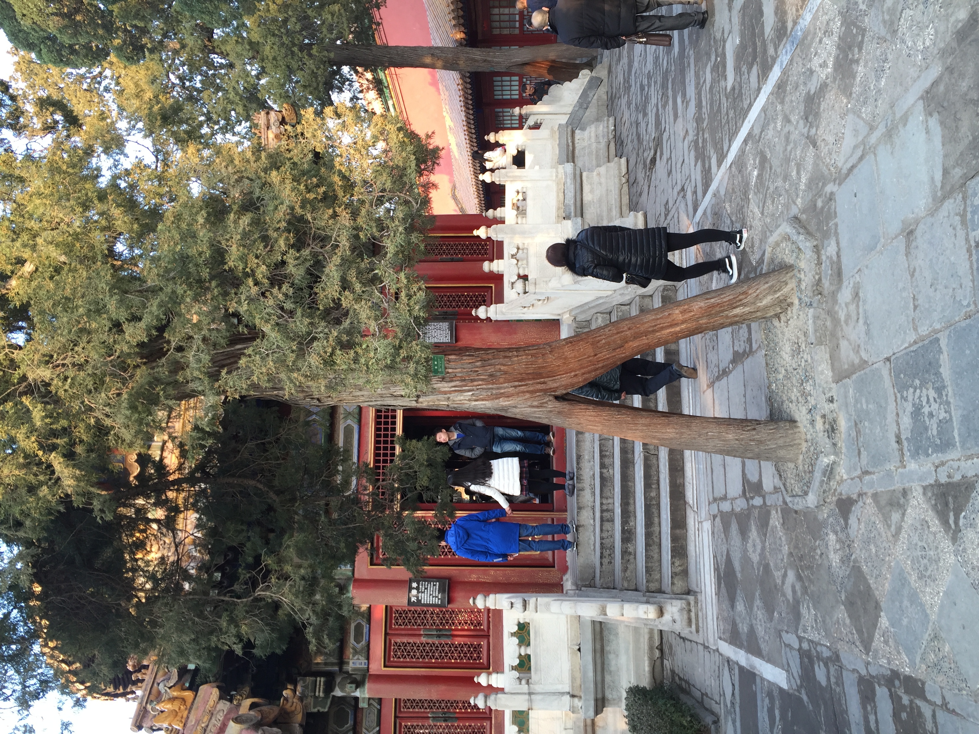 Picture China Beijing Forbidden City 2015-12 7 - Discovery Forbidden City