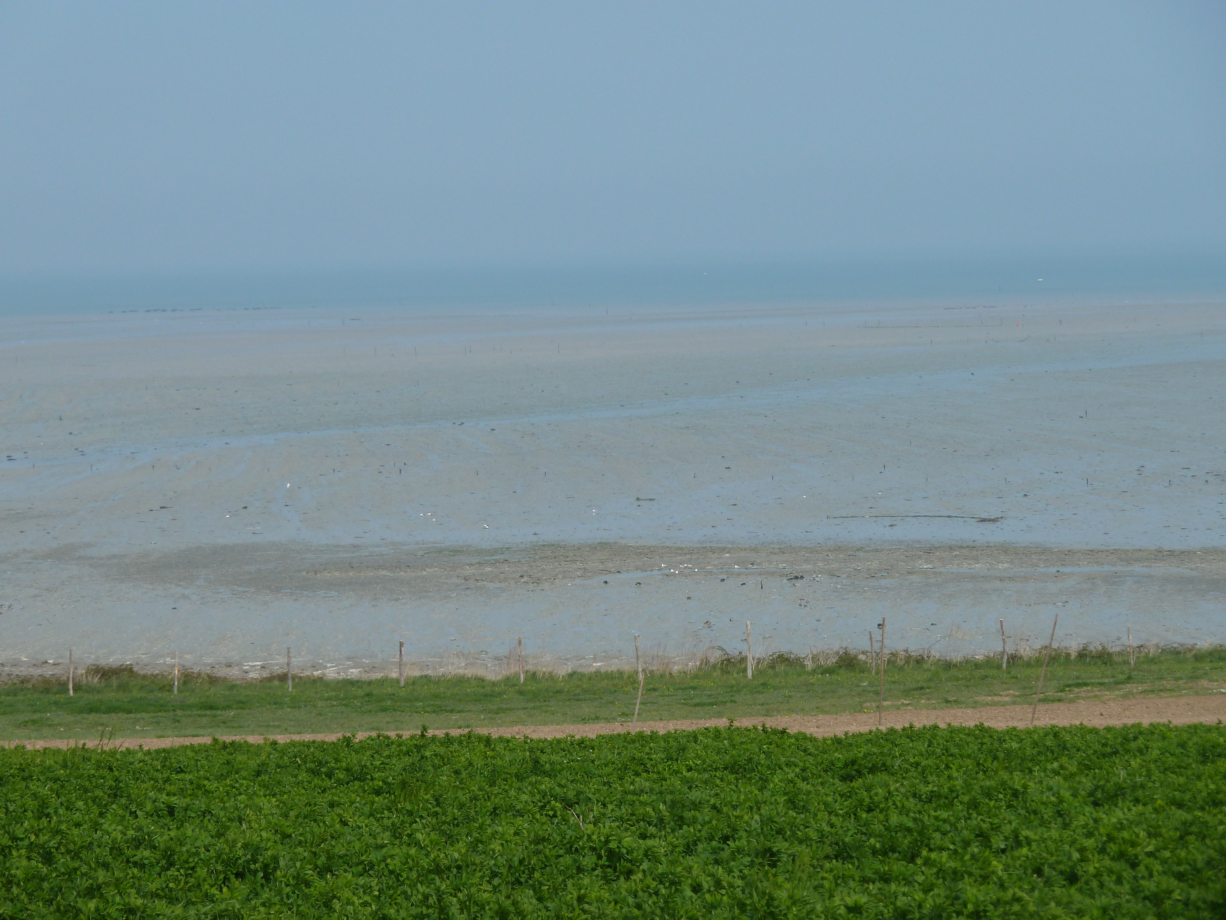 Picture France Cancale 2010-04 39 - Recreation Cancale