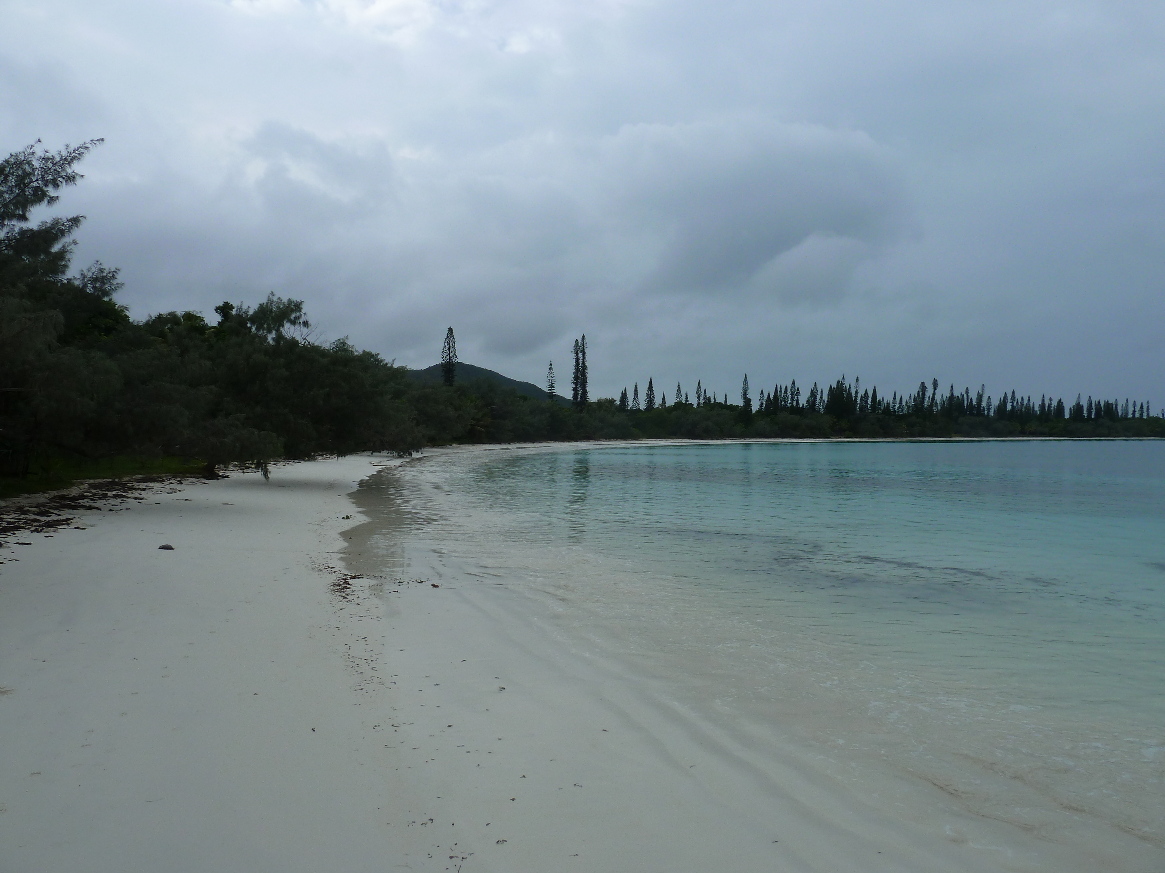 Picture New Caledonia Ile des pins Kuto Beach 2010-05 10 - Around Kuto Beach