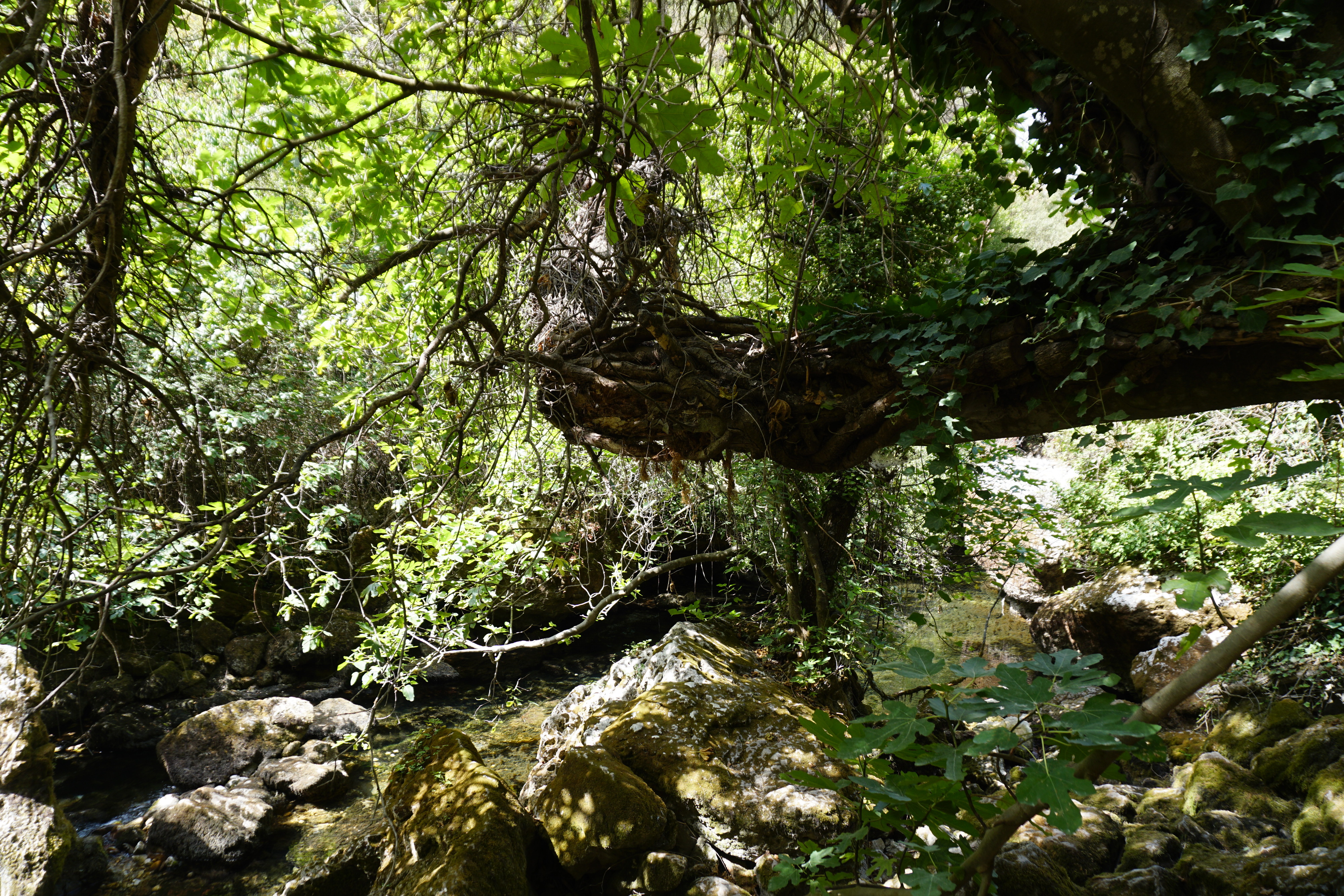 Picture France Fontaine-de-Vaucluse 2017-08 54 - Recreation Fontaine-de-Vaucluse