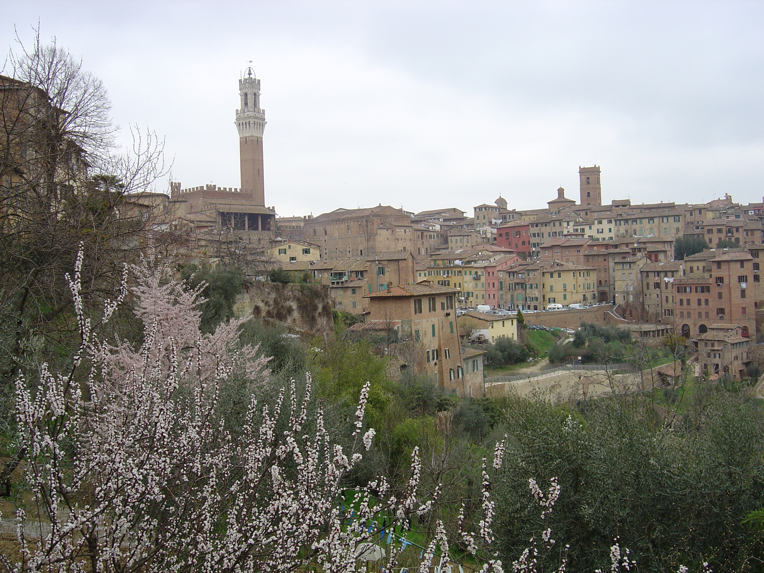 Picture Italy Siena 2004-03 43 - Tour Siena