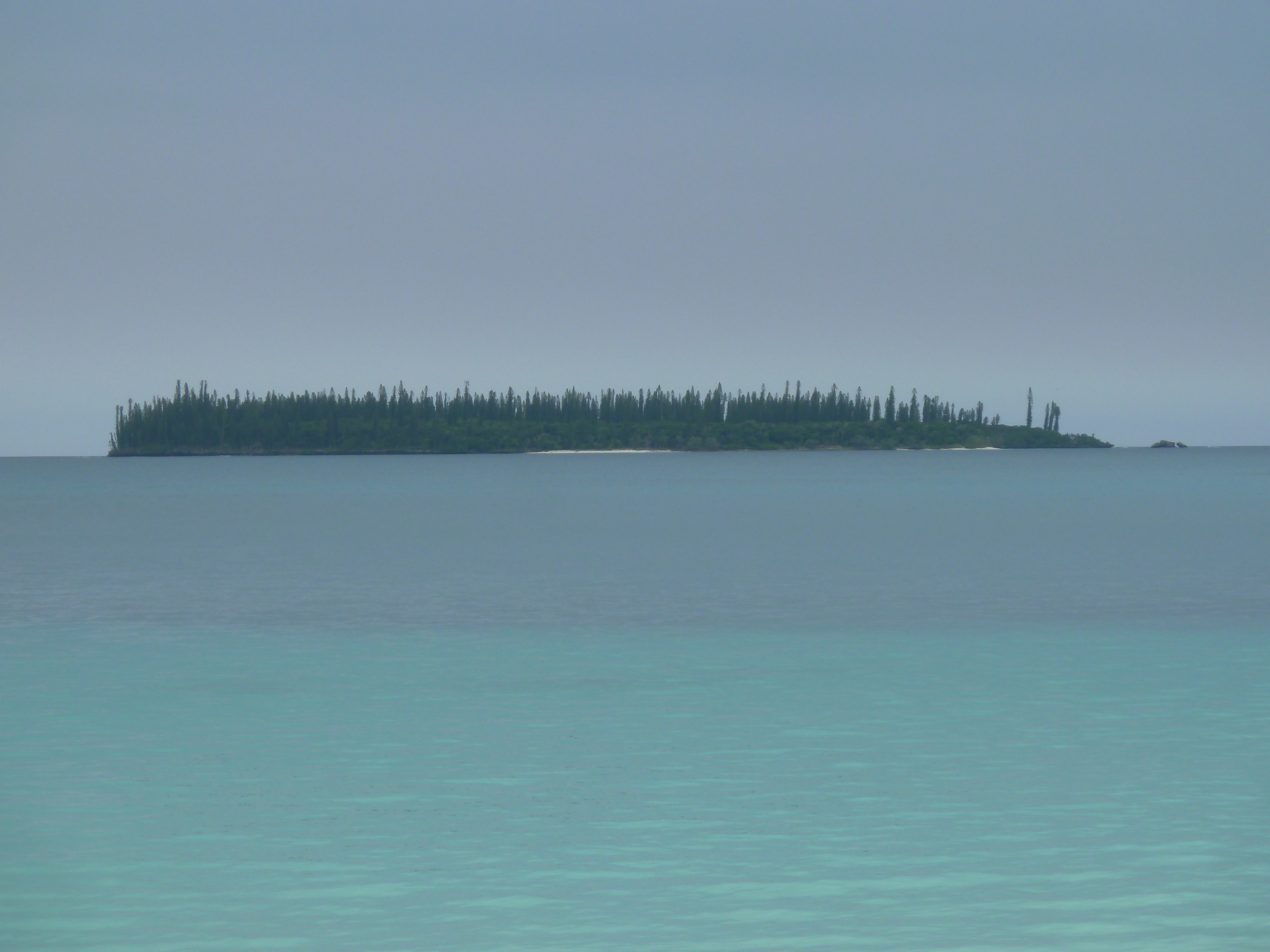 Picture New Caledonia Ile des pins Kuto Beach 2010-05 29 - Discovery Kuto Beach