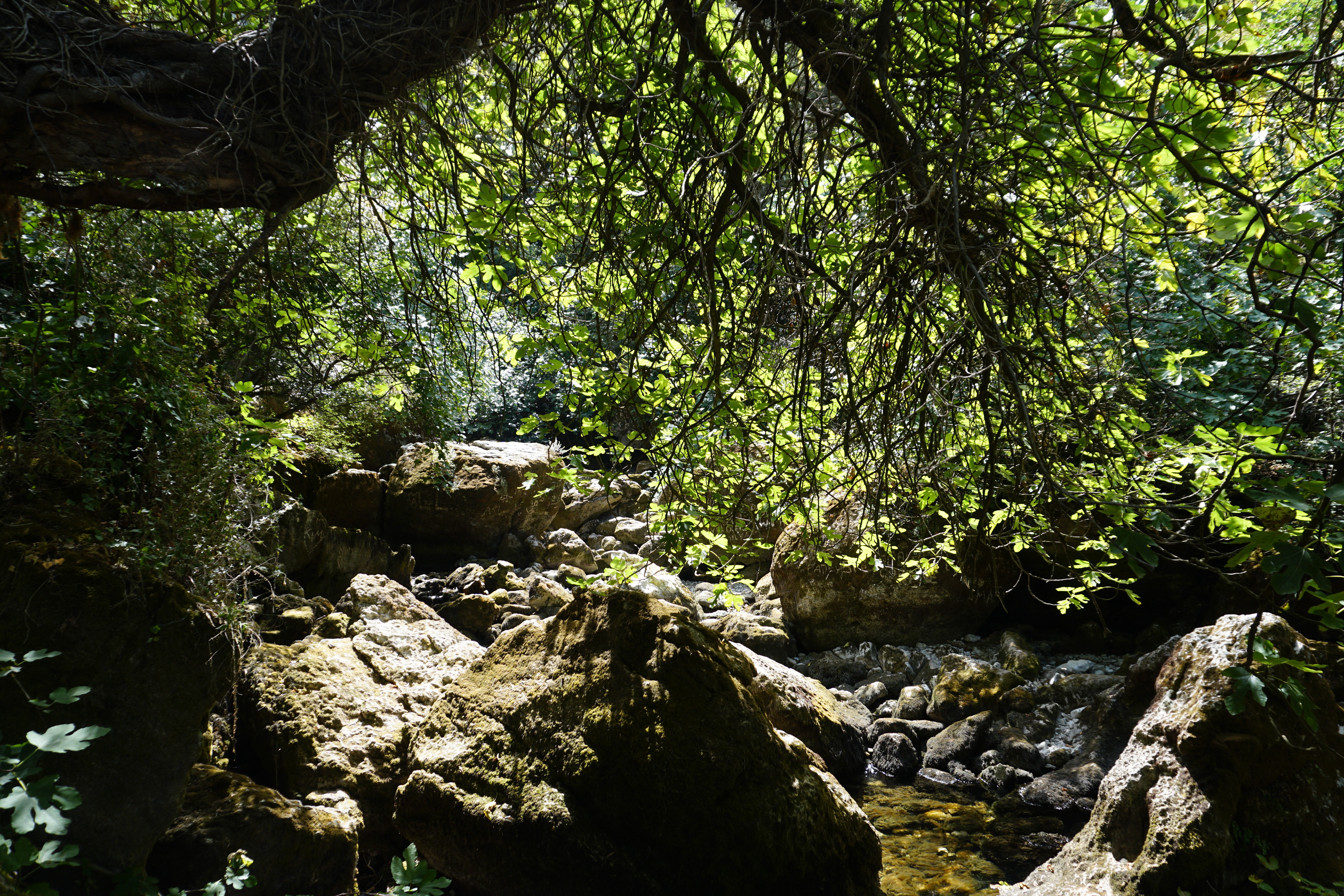 Picture France Fontaine-de-Vaucluse 2017-08 55 - Center Fontaine-de-Vaucluse