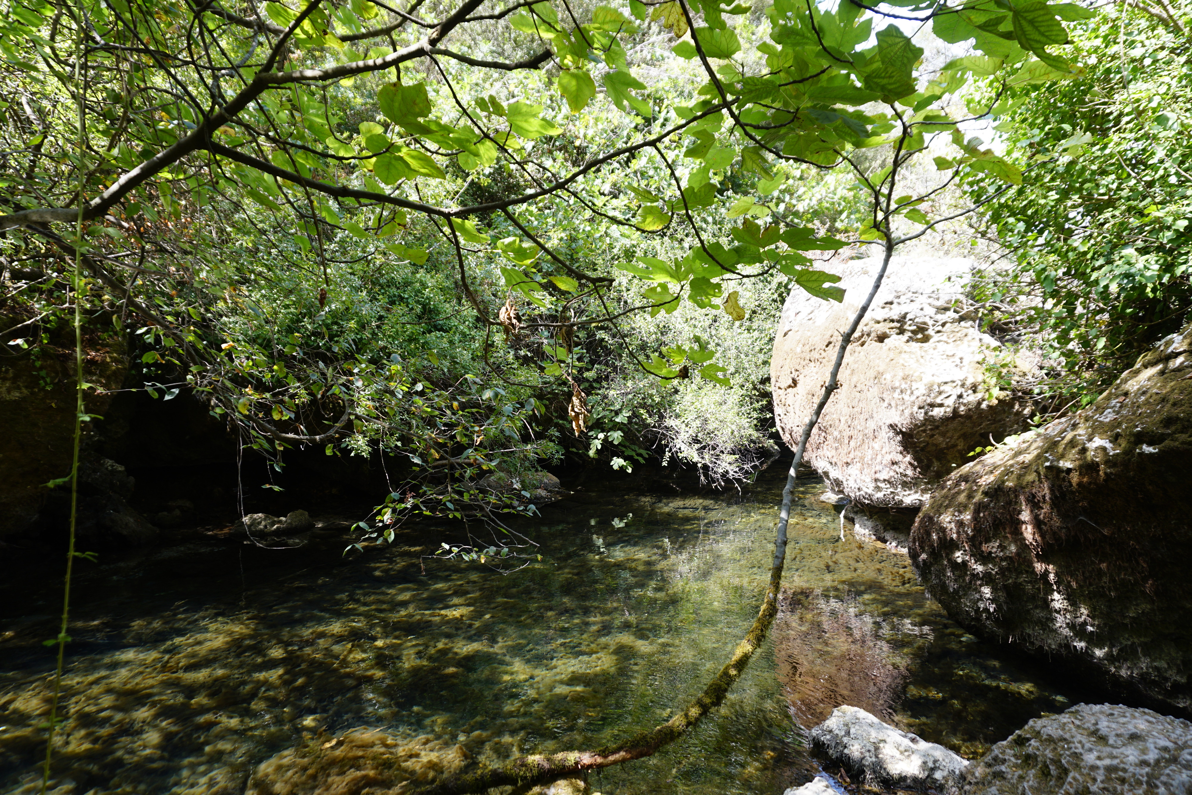 Picture France Fontaine-de-Vaucluse 2017-08 62 - Discovery Fontaine-de-Vaucluse