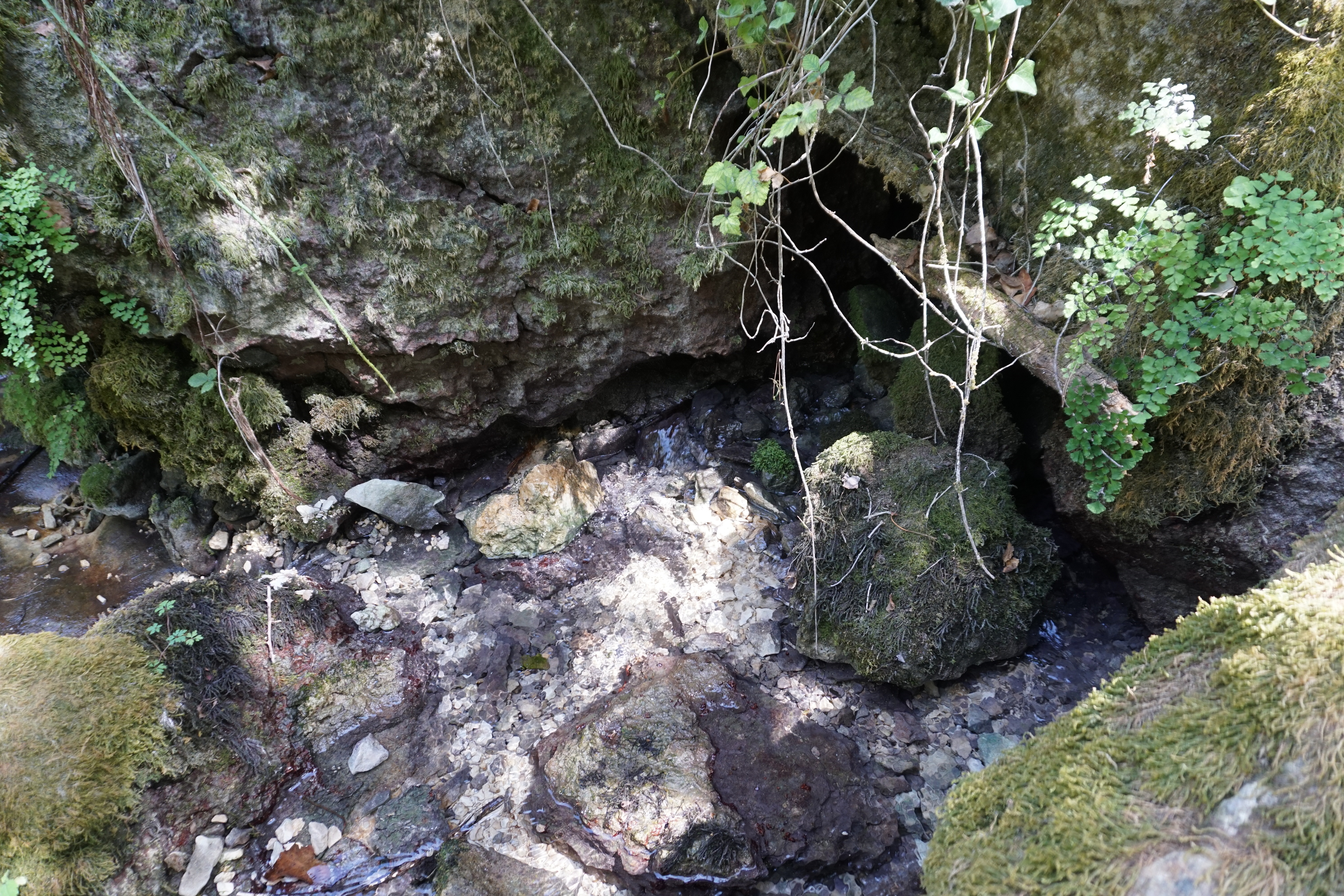 Picture France Fontaine-de-Vaucluse 2017-08 57 - Discovery Fontaine-de-Vaucluse