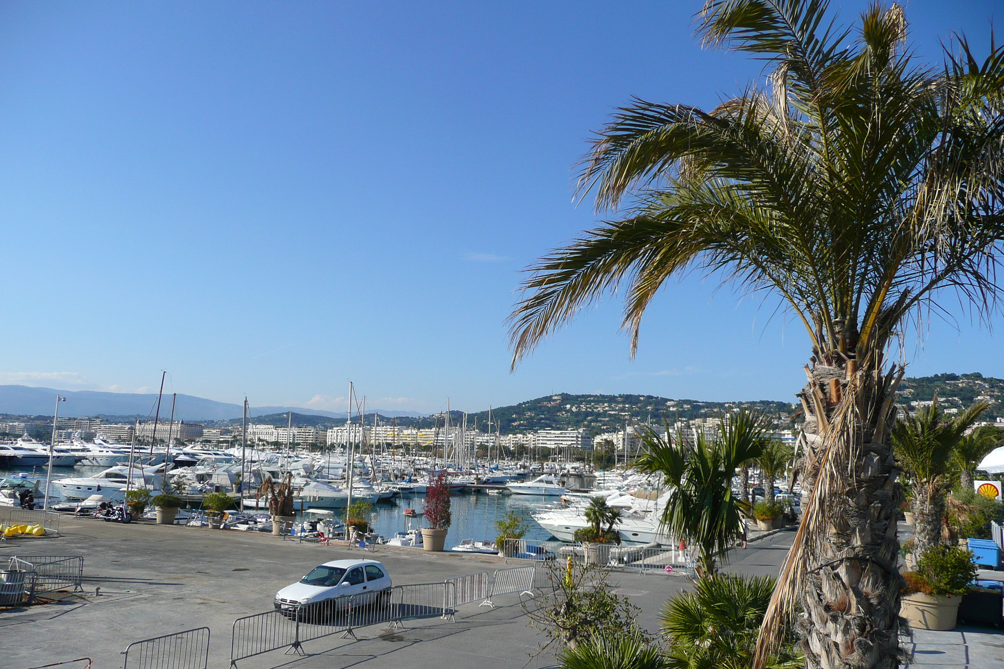 Picture France Cannes Port Pierre Canto 2008-05 59 - Around Port Pierre Canto