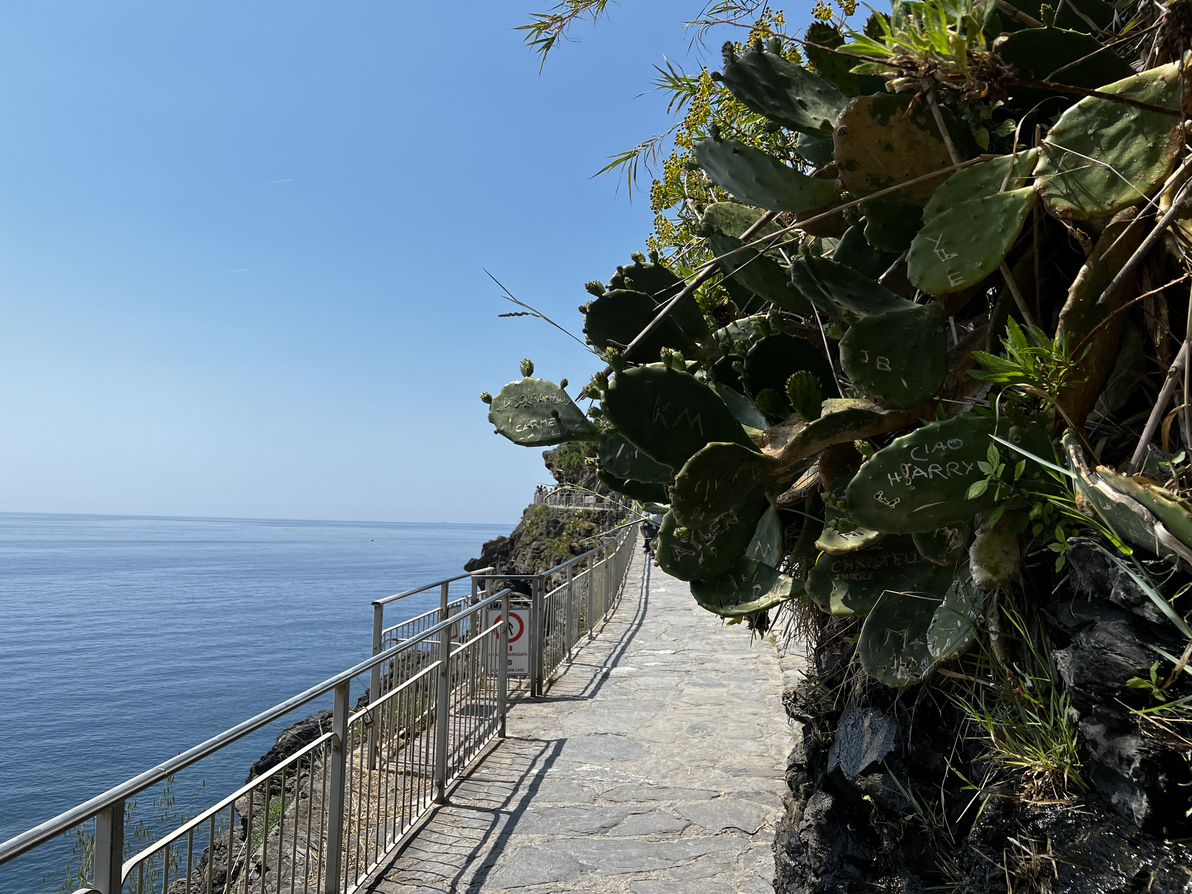 Picture Italy The Cinque Terre 2022-05 72 - Discovery The Cinque Terre