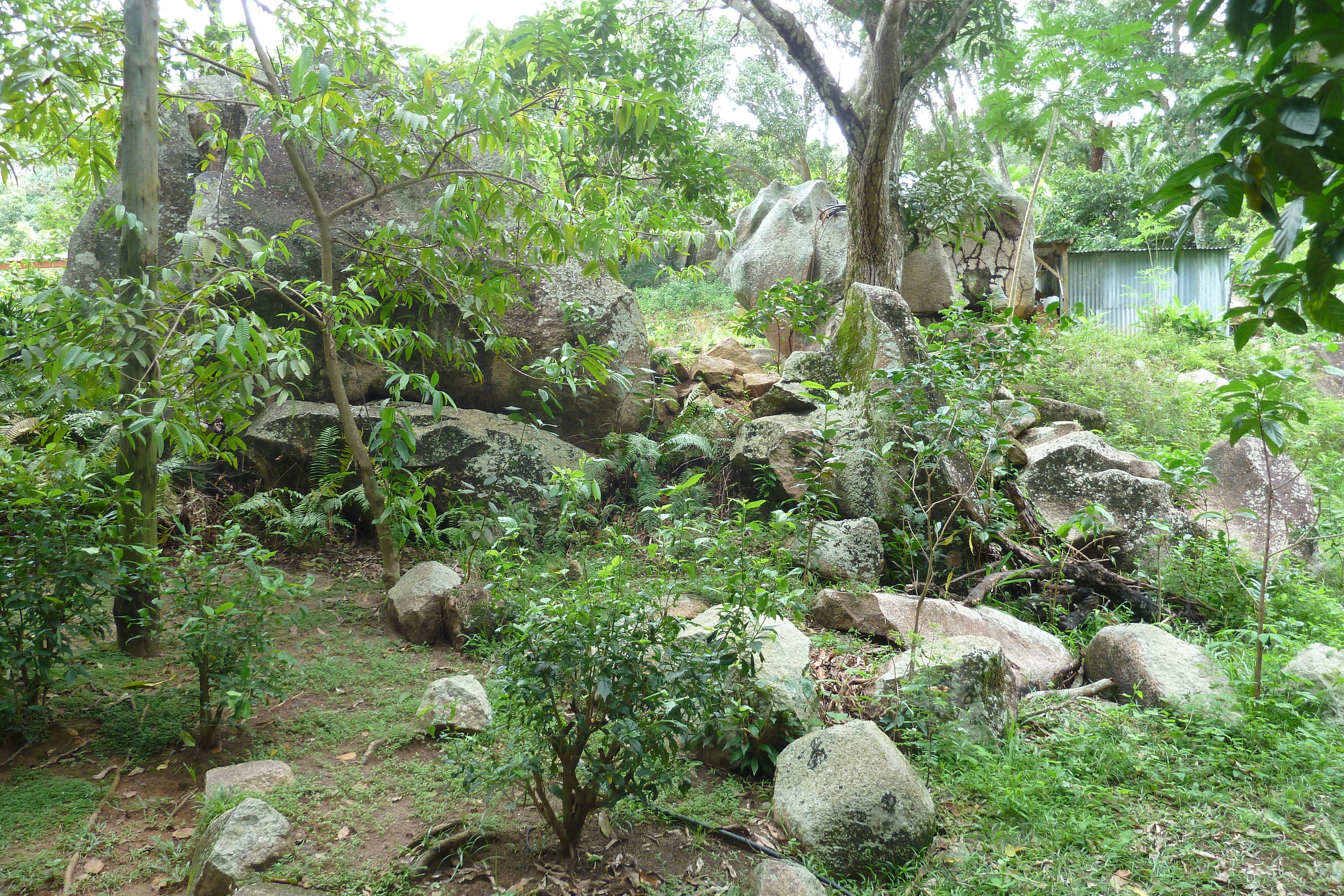 Picture Seychelles La Digue 2011-10 253 - Journey La Digue