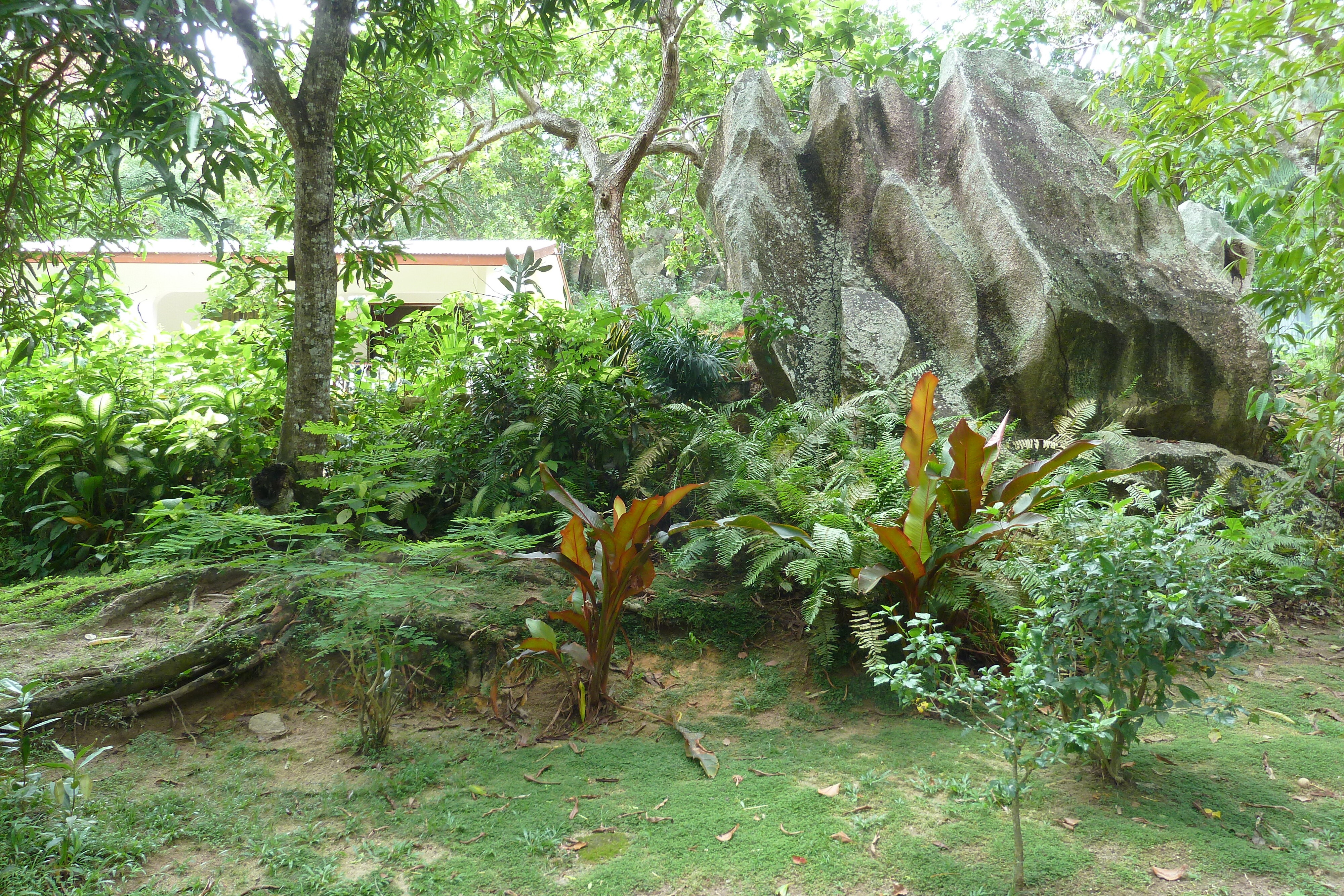 Picture Seychelles La Digue 2011-10 233 - Center La Digue