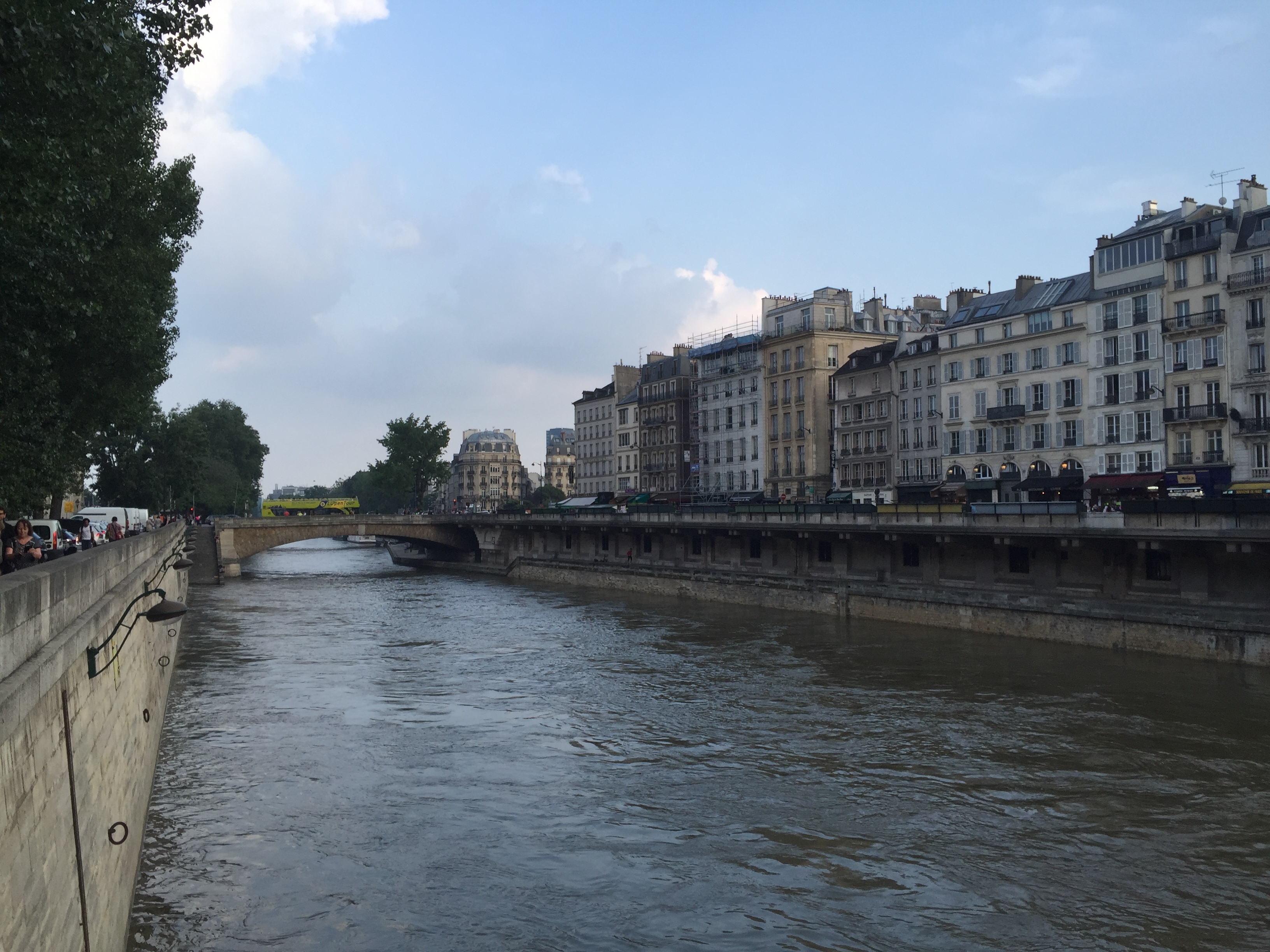 Picture France Paris Seine river 2016-06 40 - Center Seine river