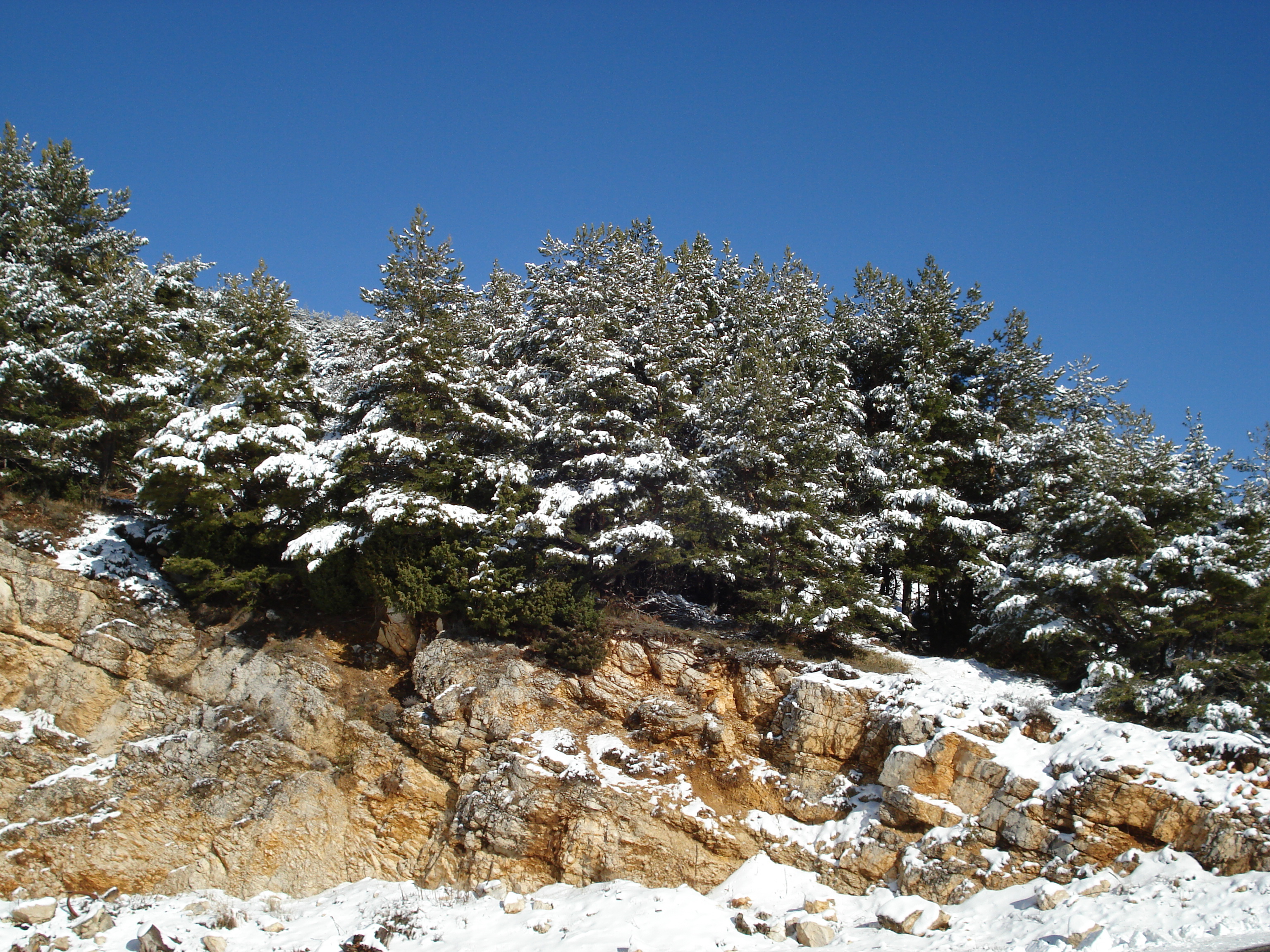 Picture France Coursegoule to Greolieres les neiges road 2007-01 64 - History Coursegoule to Greolieres les neiges road