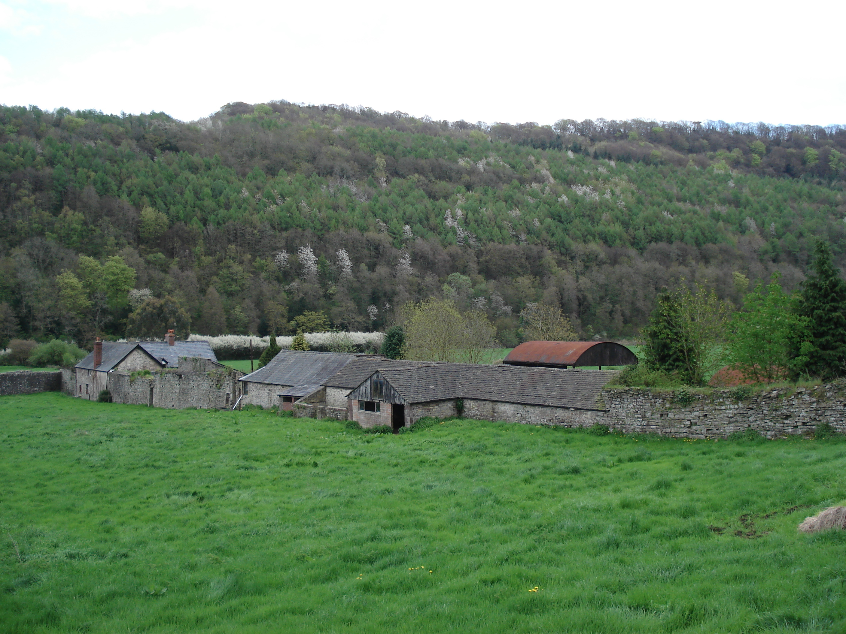 Picture United Kingdom Tintern 2006-05 8 - Center Tintern