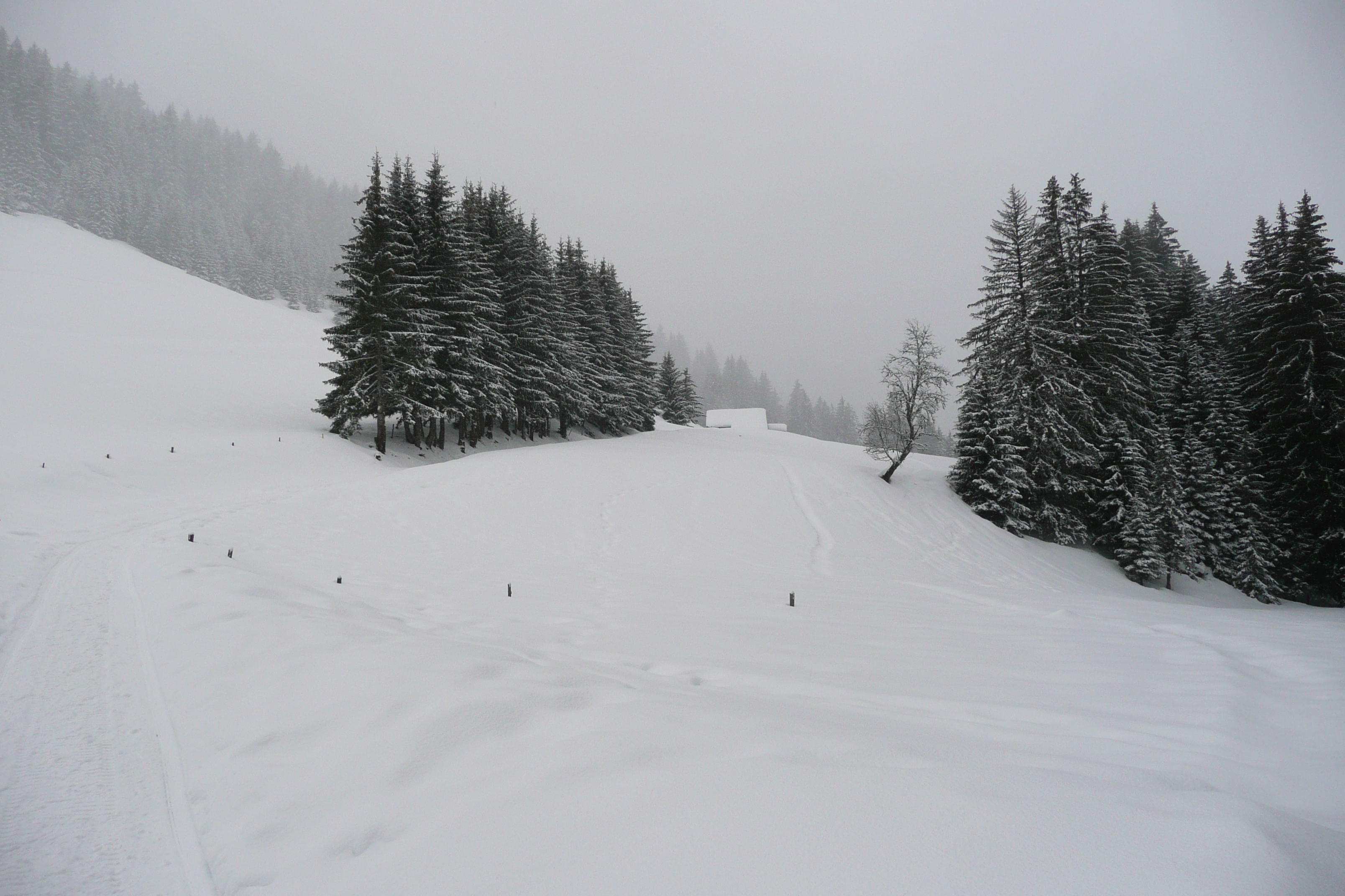 Picture France Megeve Le Planay 2010-02 2 - Discovery Le Planay