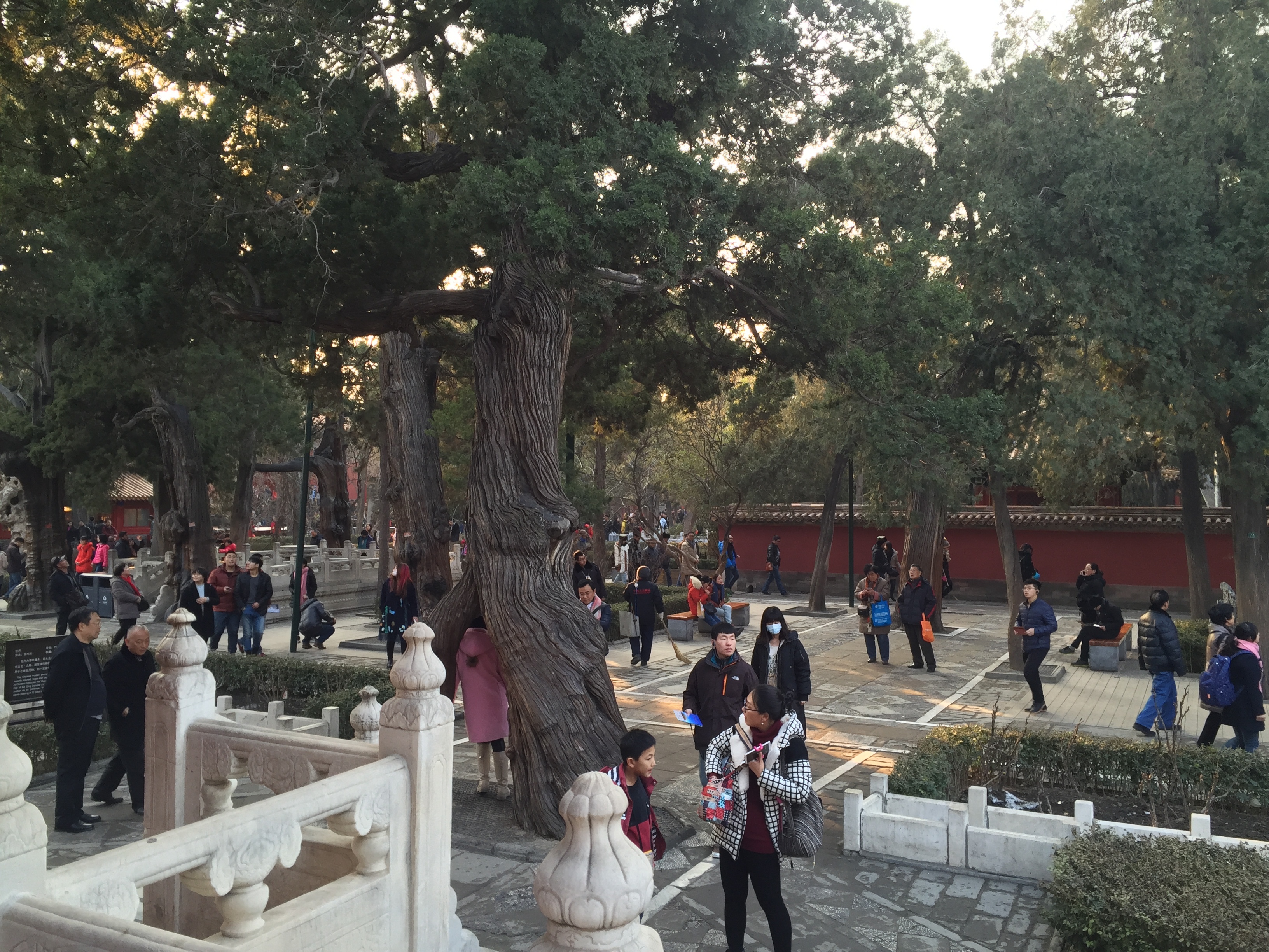 Picture China Beijing Forbidden City 2015-12 192 - Discovery Forbidden City