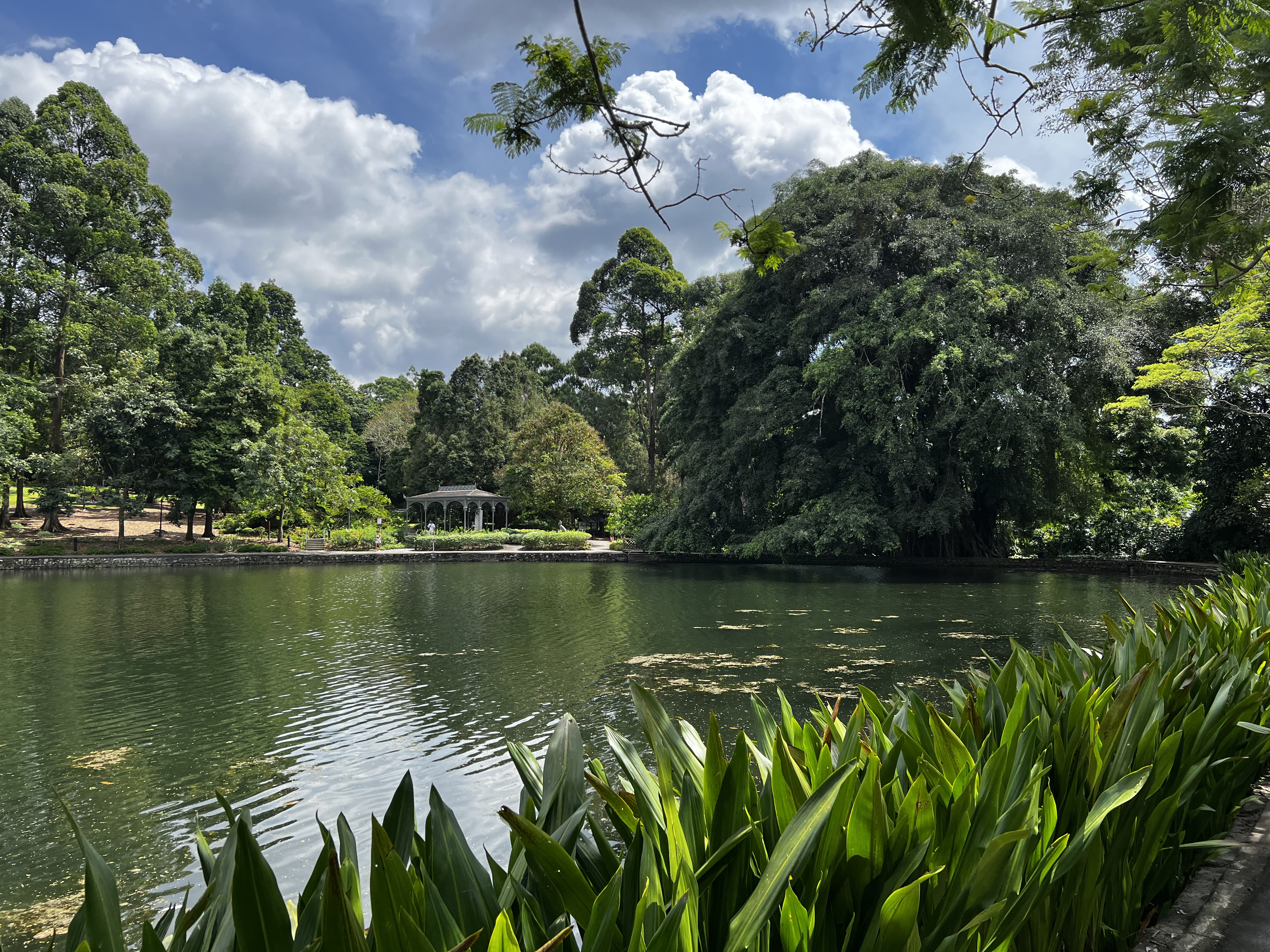 Picture Singapore Singapore Botanic Gardens 2023-01 74 - Journey Singapore Botanic Gardens