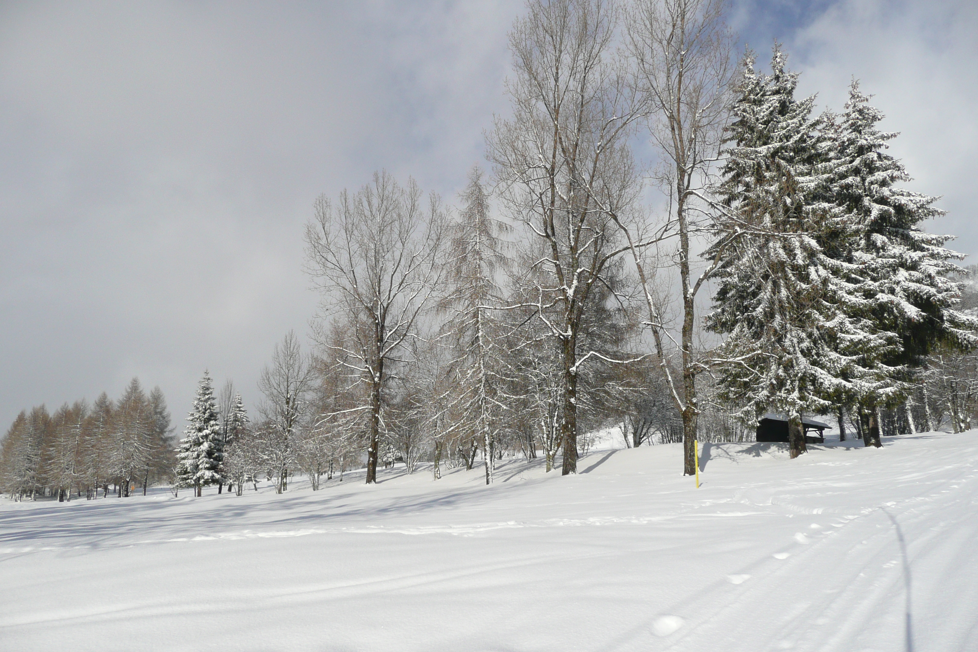 Picture France Megeve Le Planay 2010-02 25 - Recreation Le Planay