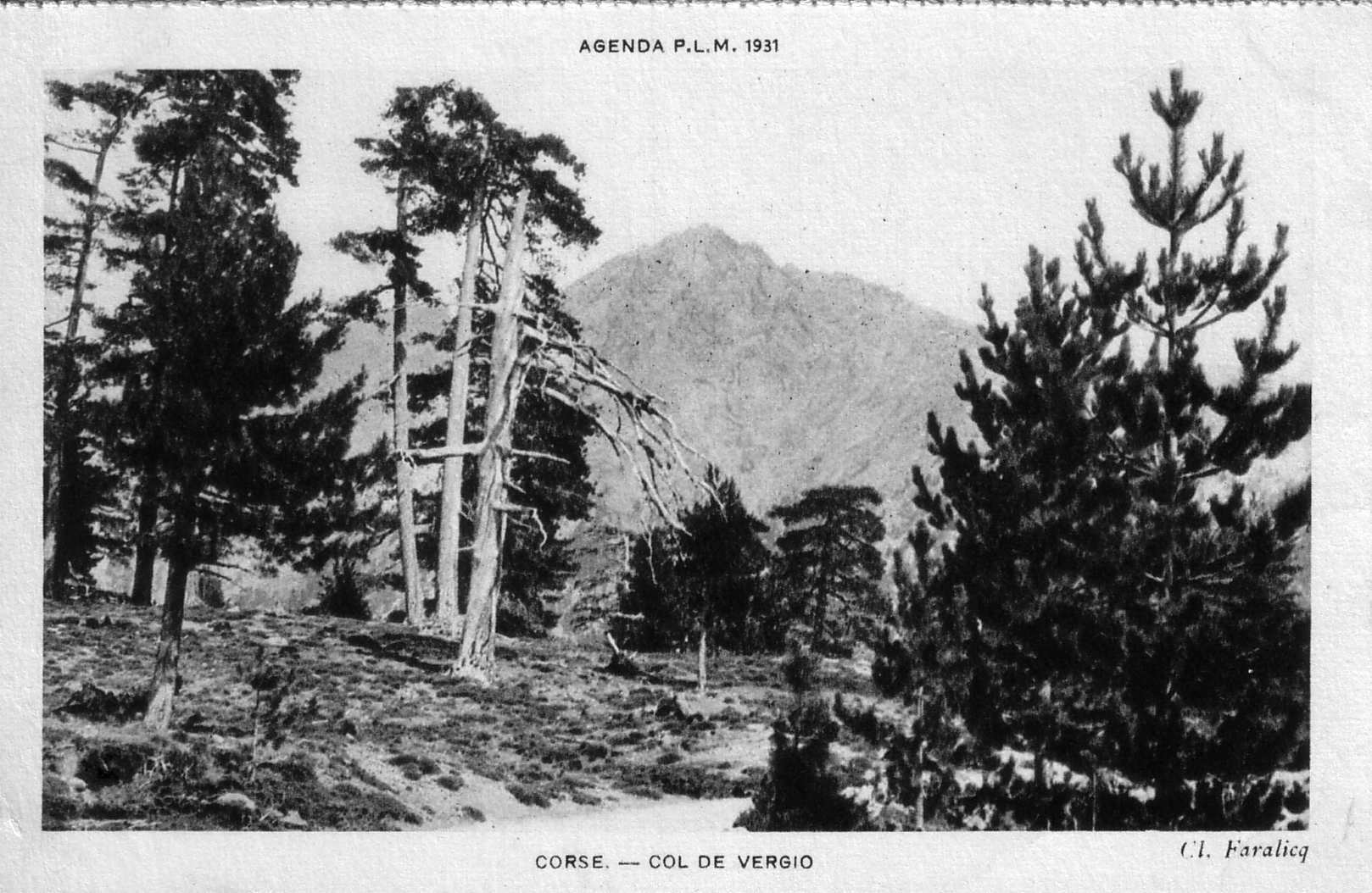 Picture France Corsica Old Postcards 1900-01 111 - Journey Old Postcards