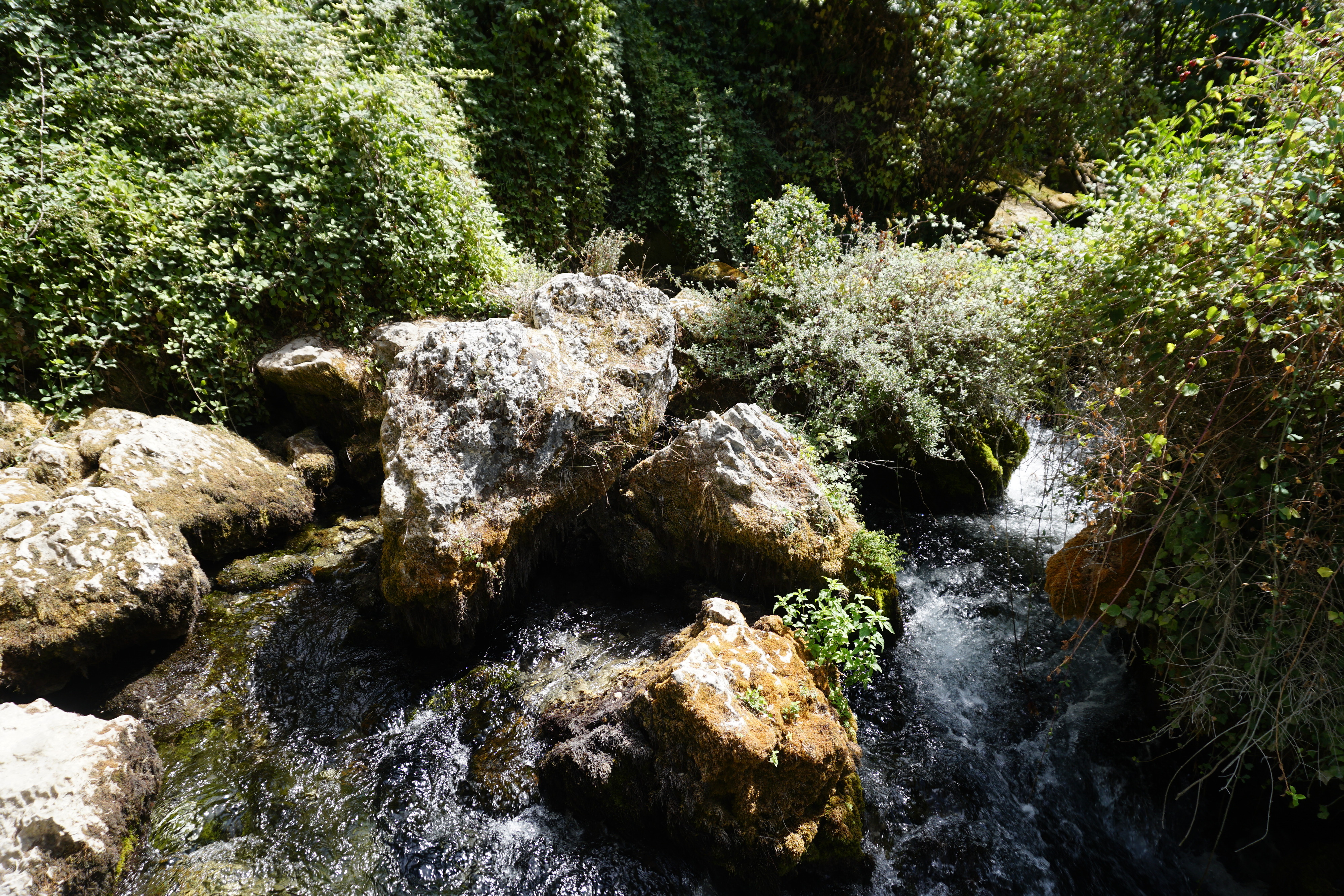 Picture France Fontaine-de-Vaucluse 2017-08 49 - Around Fontaine-de-Vaucluse