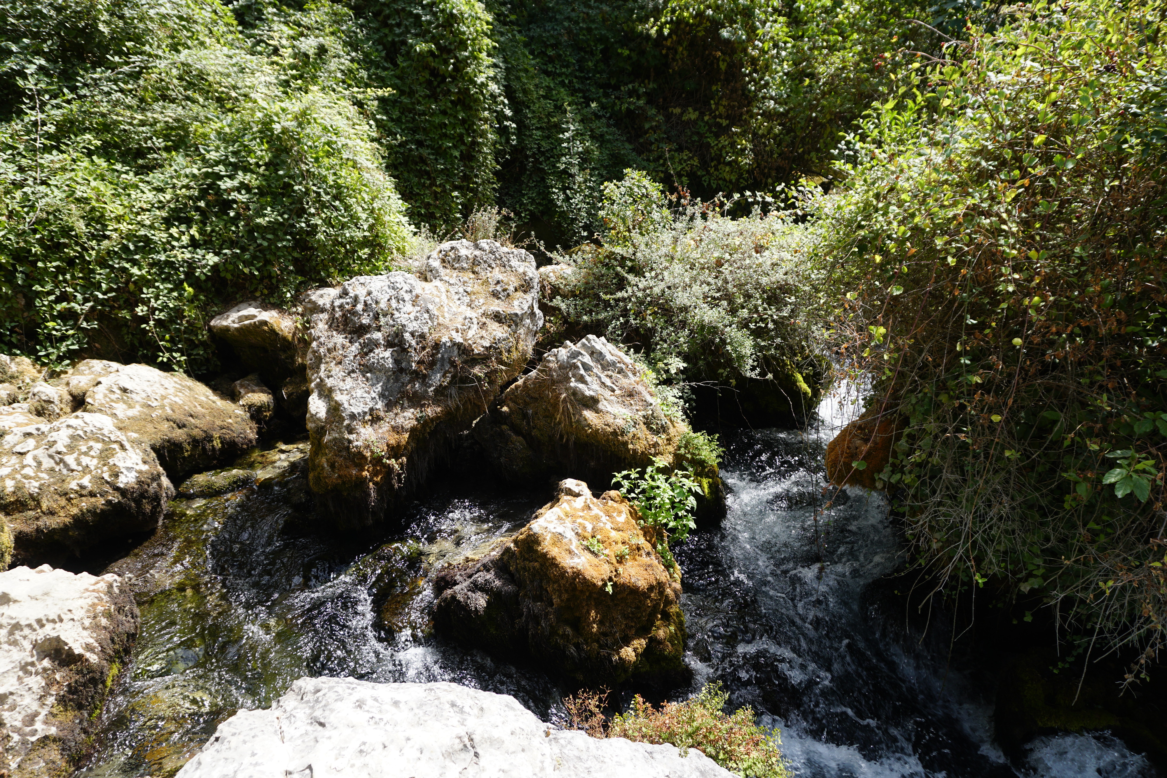 Picture France Fontaine-de-Vaucluse 2017-08 47 - History Fontaine-de-Vaucluse