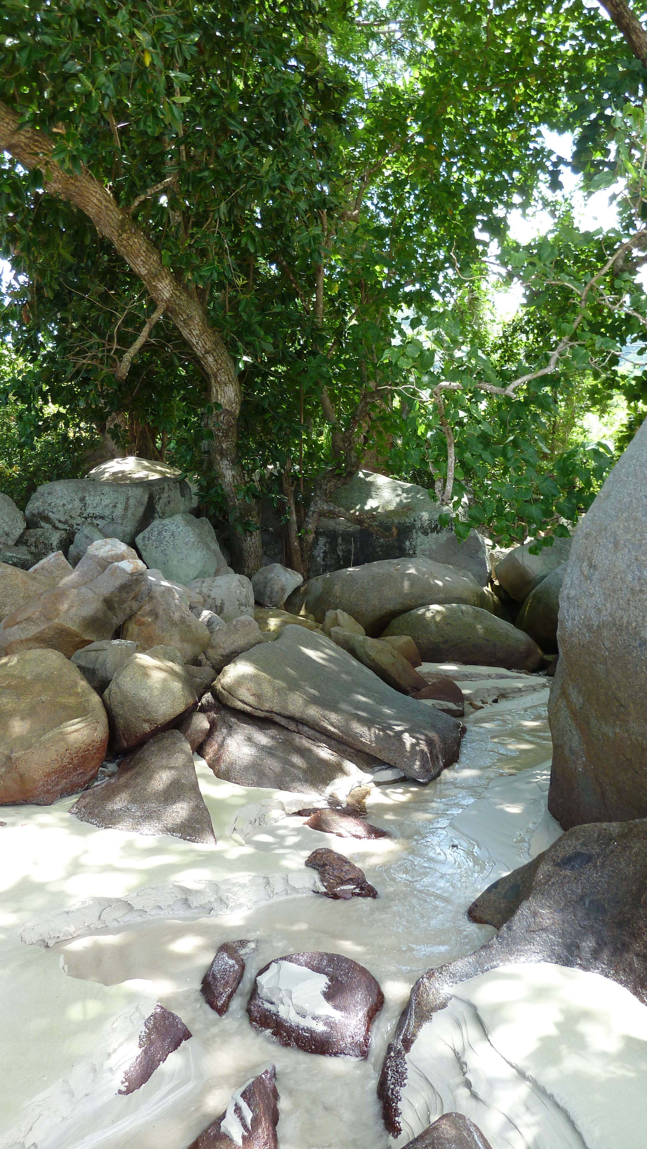 Picture Seychelles Mahe 2011-10 99 - Around Mahe