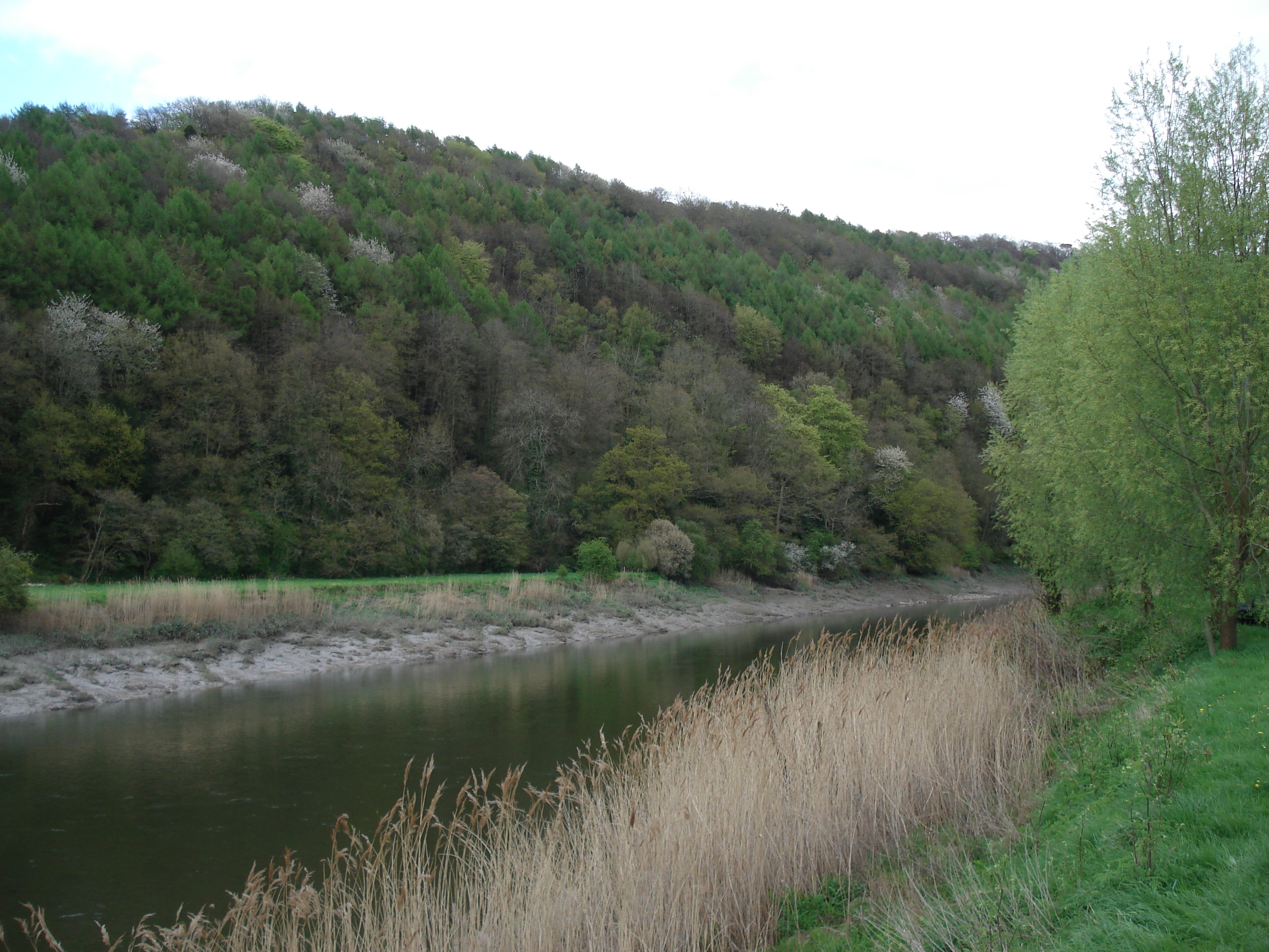 Picture United Kingdom Tintern 2006-05 66 - Discovery Tintern