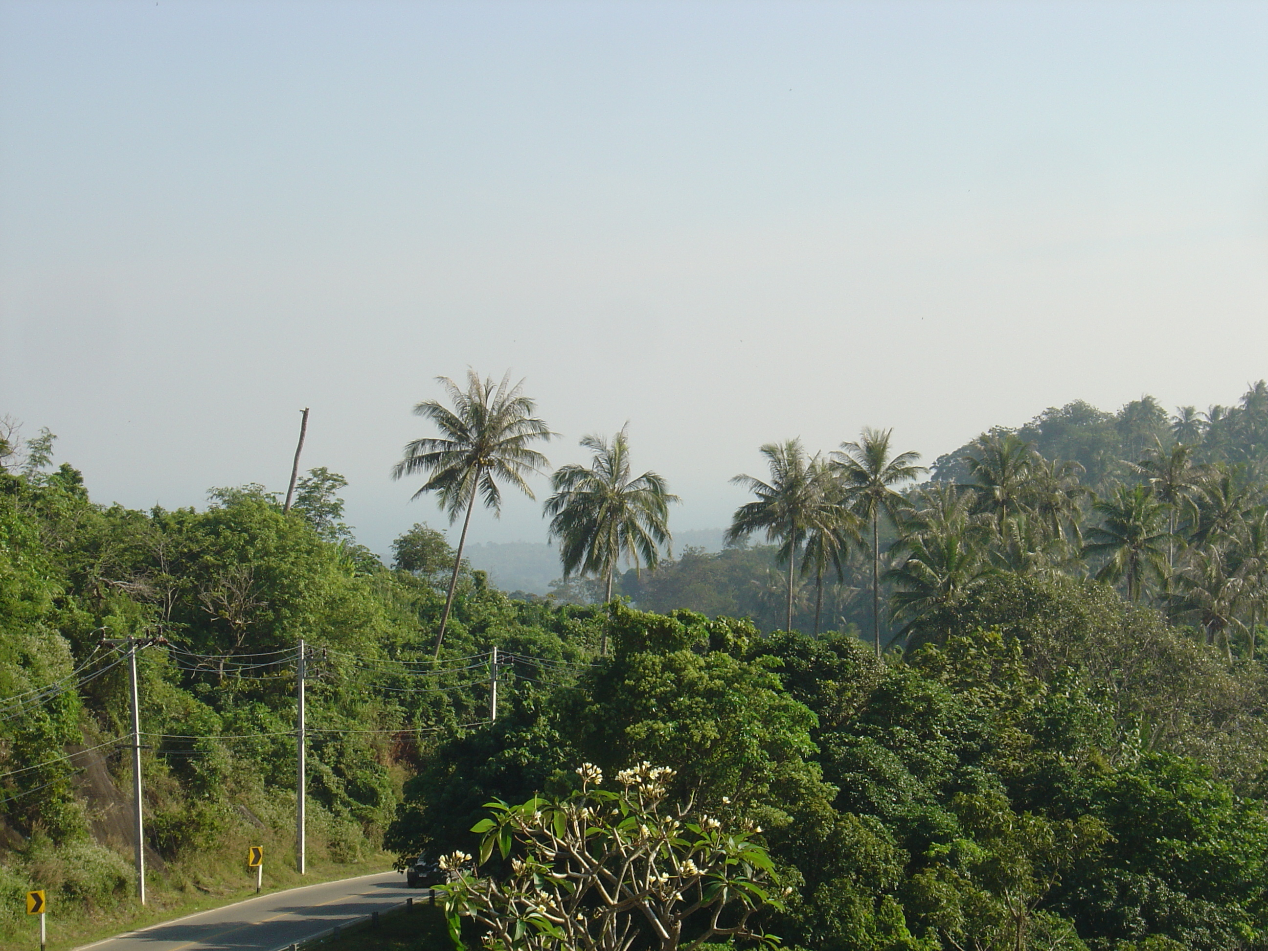 Picture Thailand Phuket Kata Karon Viewpoint 2005-12 11 - History Kata Karon Viewpoint